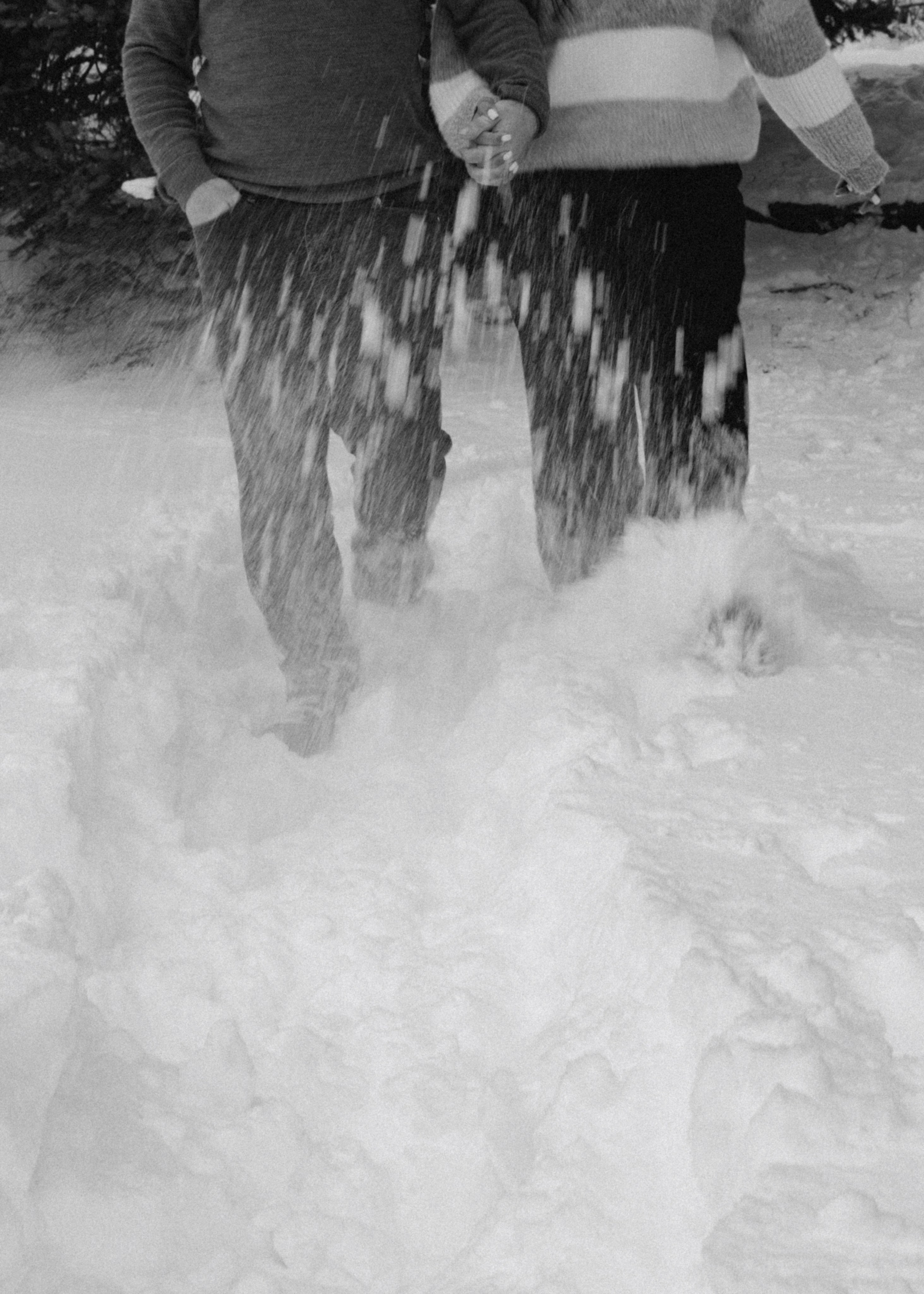 Снежинки. Գլխավոր