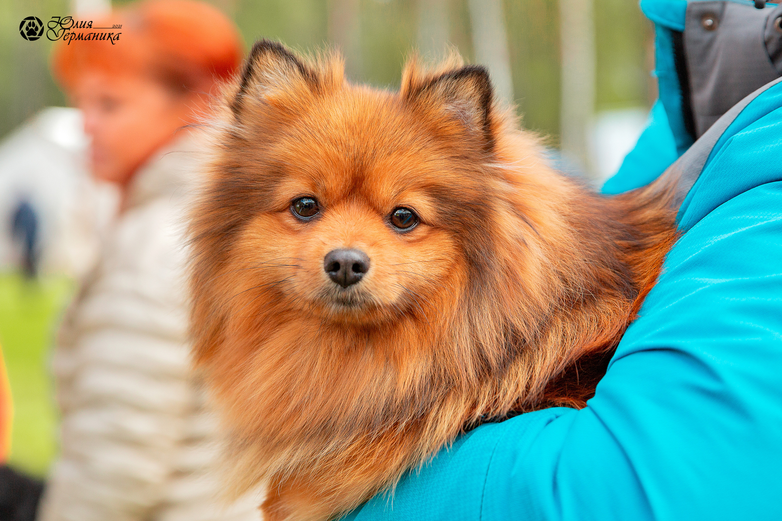 Псков 2xСАСIB 18-19 сентября 2021. Фотограф-анималист Юлия Германика