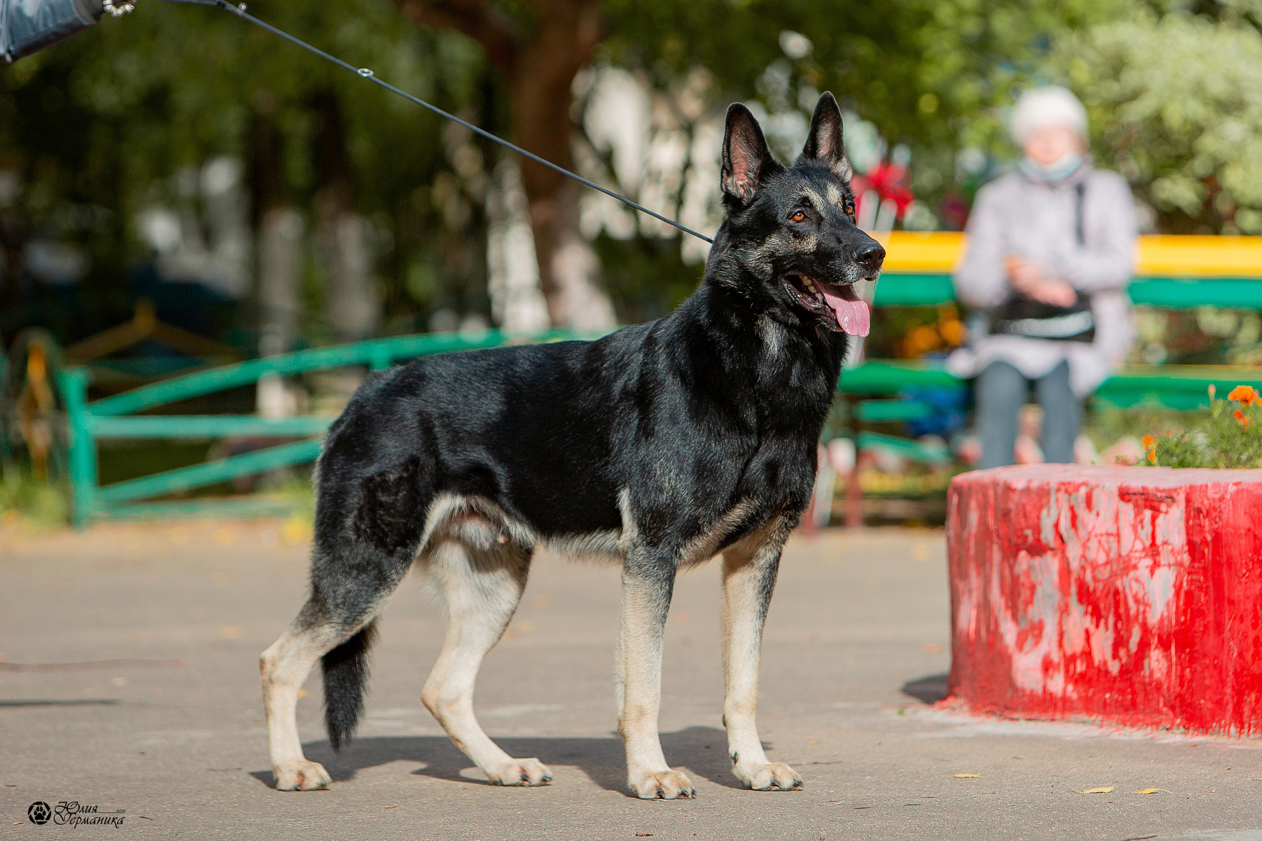 Свободная съемка. Фотограф-анималист Юлия Германика