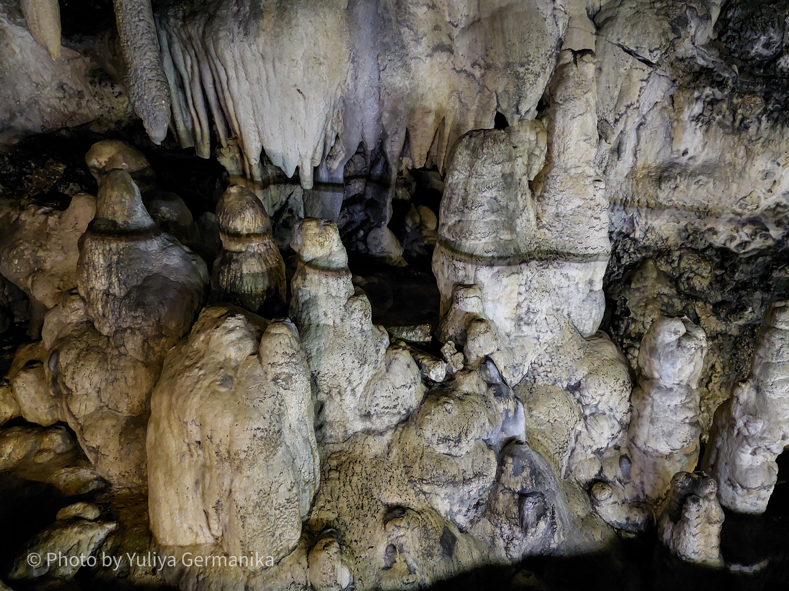 Разные фото на телефон.Города,природа. Фотограф-анималист Юлия Германика