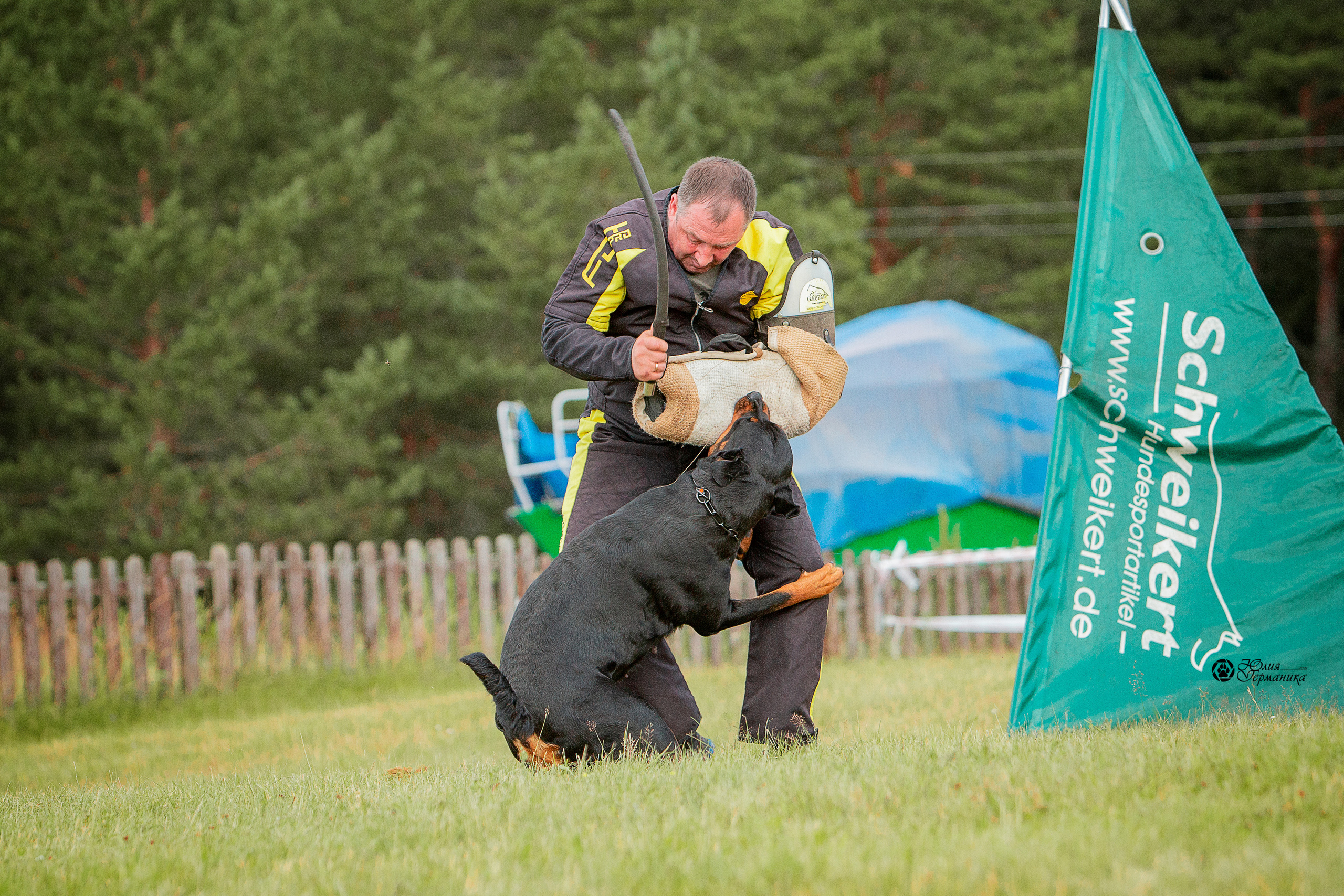 Тверь моно ротвейлеров 3-4 июля 2021. Фотограф-анималист Юлия Германика