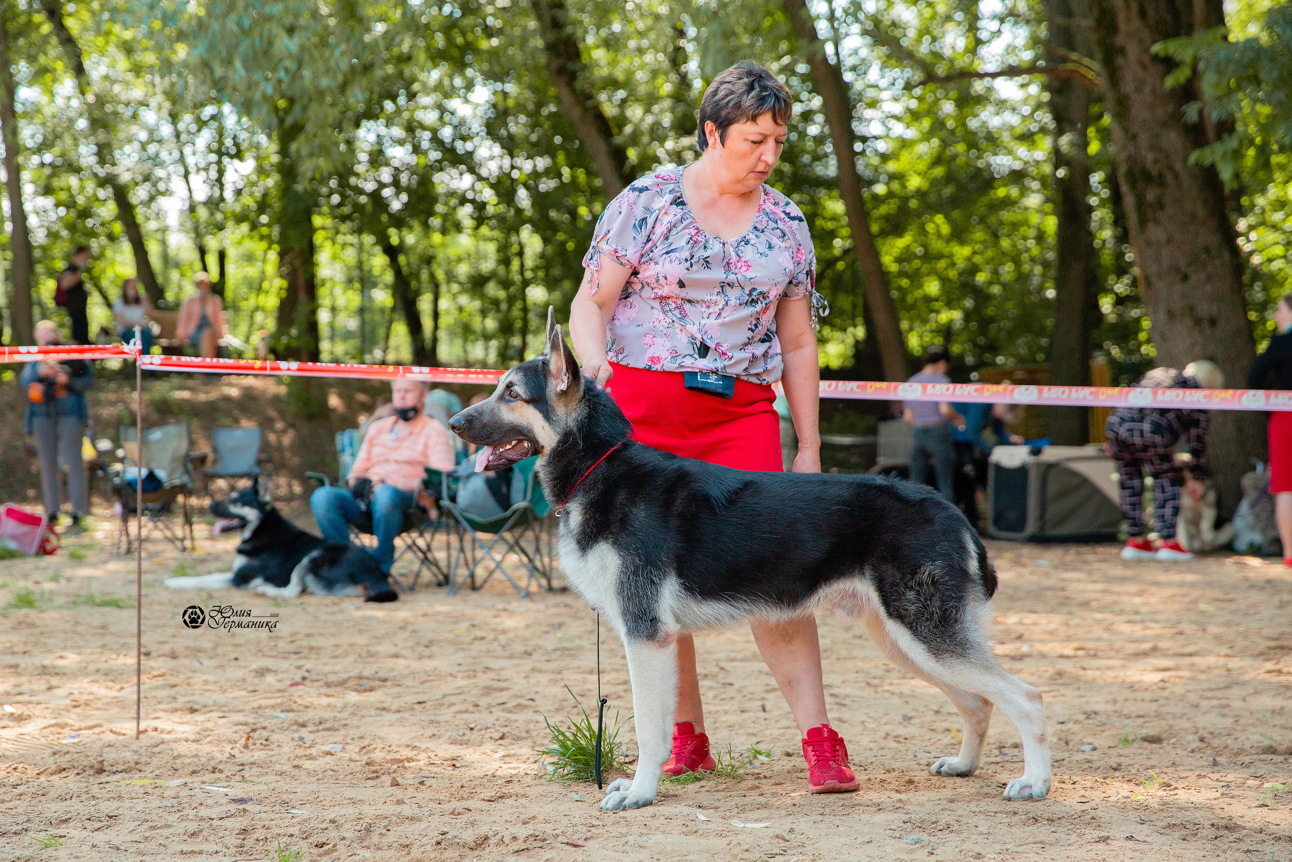 Ховрино фестиваль монопородок 15 августа 2021. Фотограф-анималист Юлия Германика