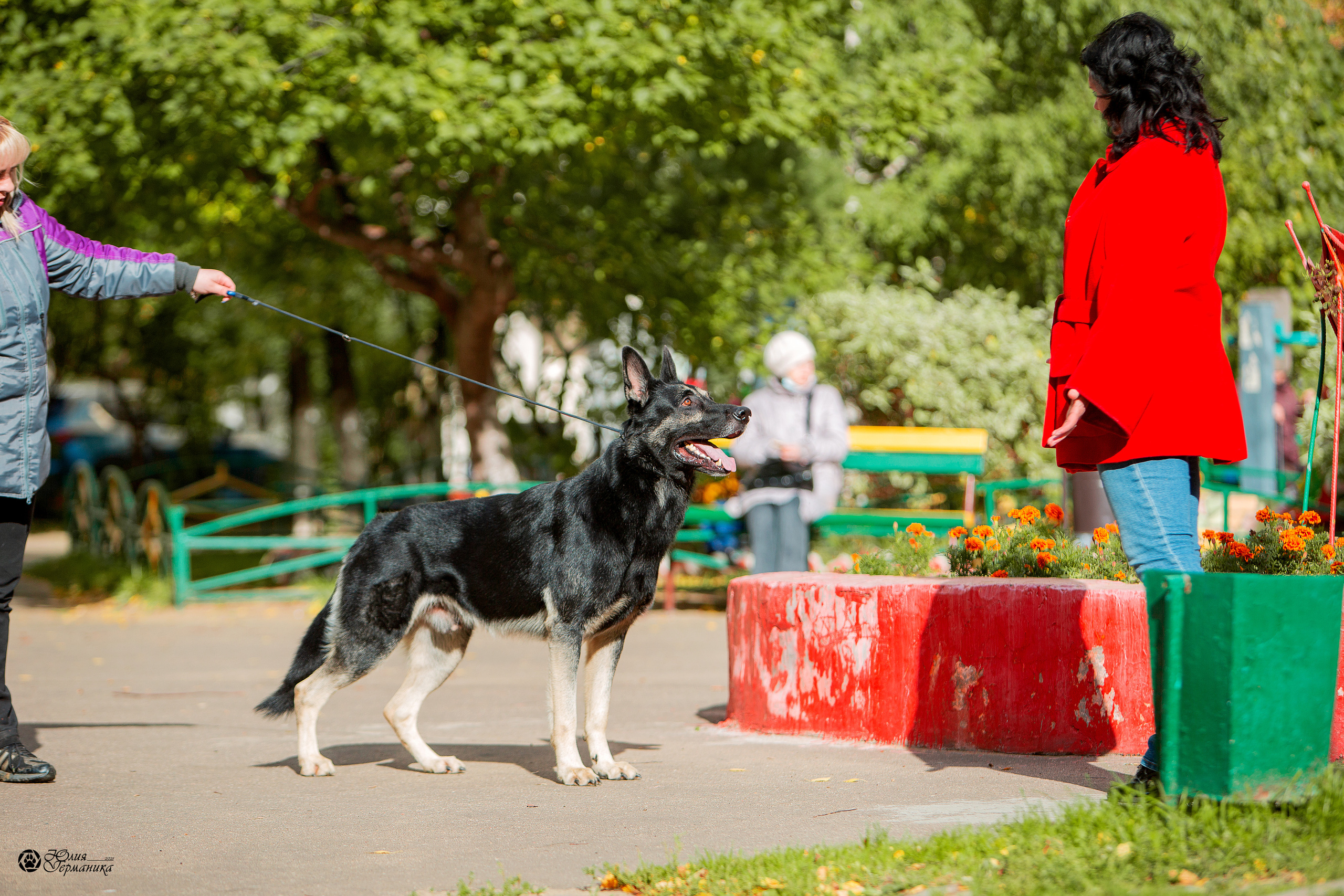 Свободная съемка. Фотограф-анималист Юлия Германика