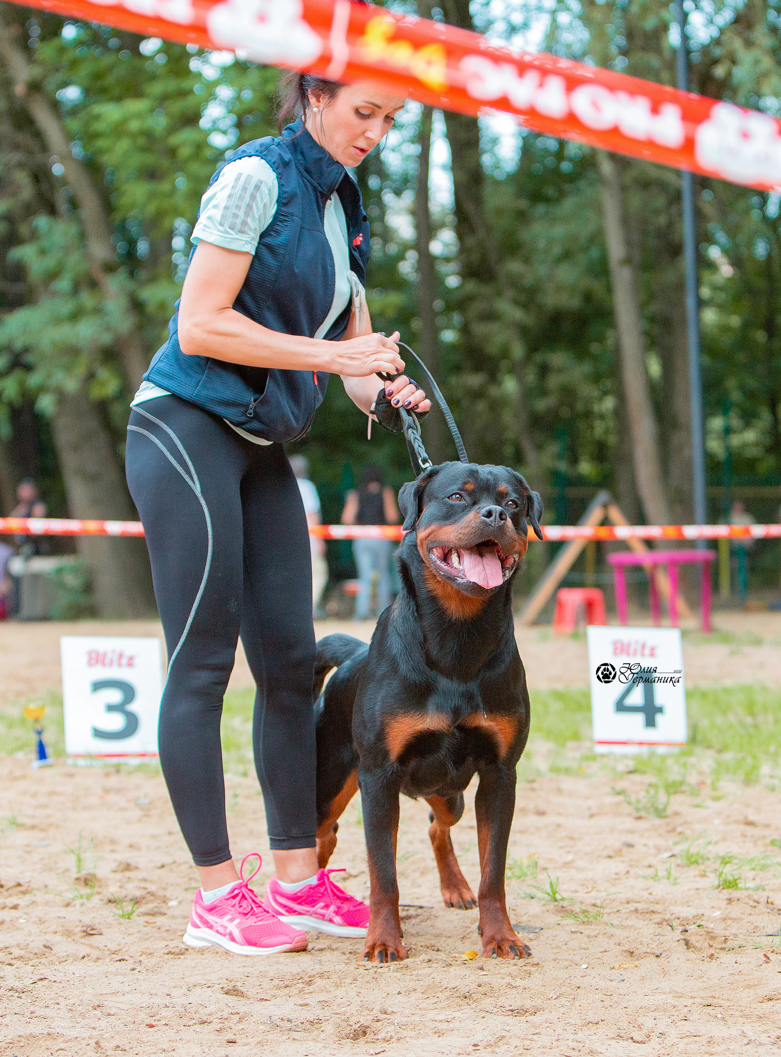 Рязань,Ховрино 14-15 августа 2021 моно ротвейлеров. Фотограф-анималист Юлия Германика