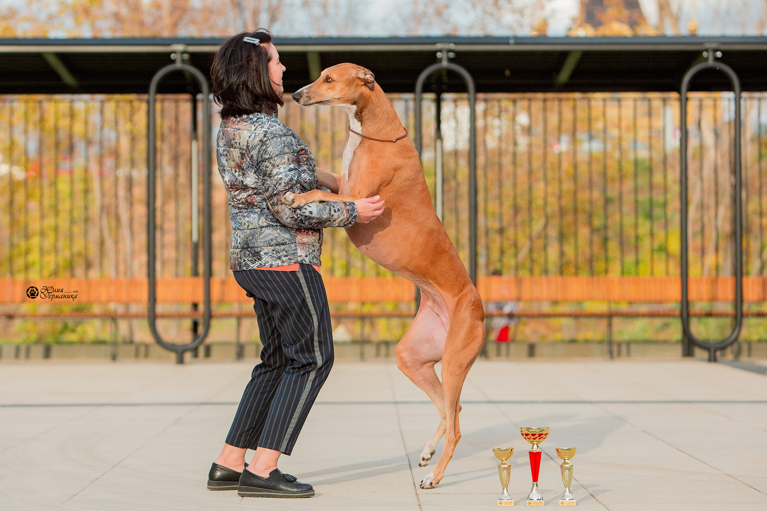 Нижний Новгород 3хCACIB 15-17 октября 2021. Фотограф-анималист Юлия Германика