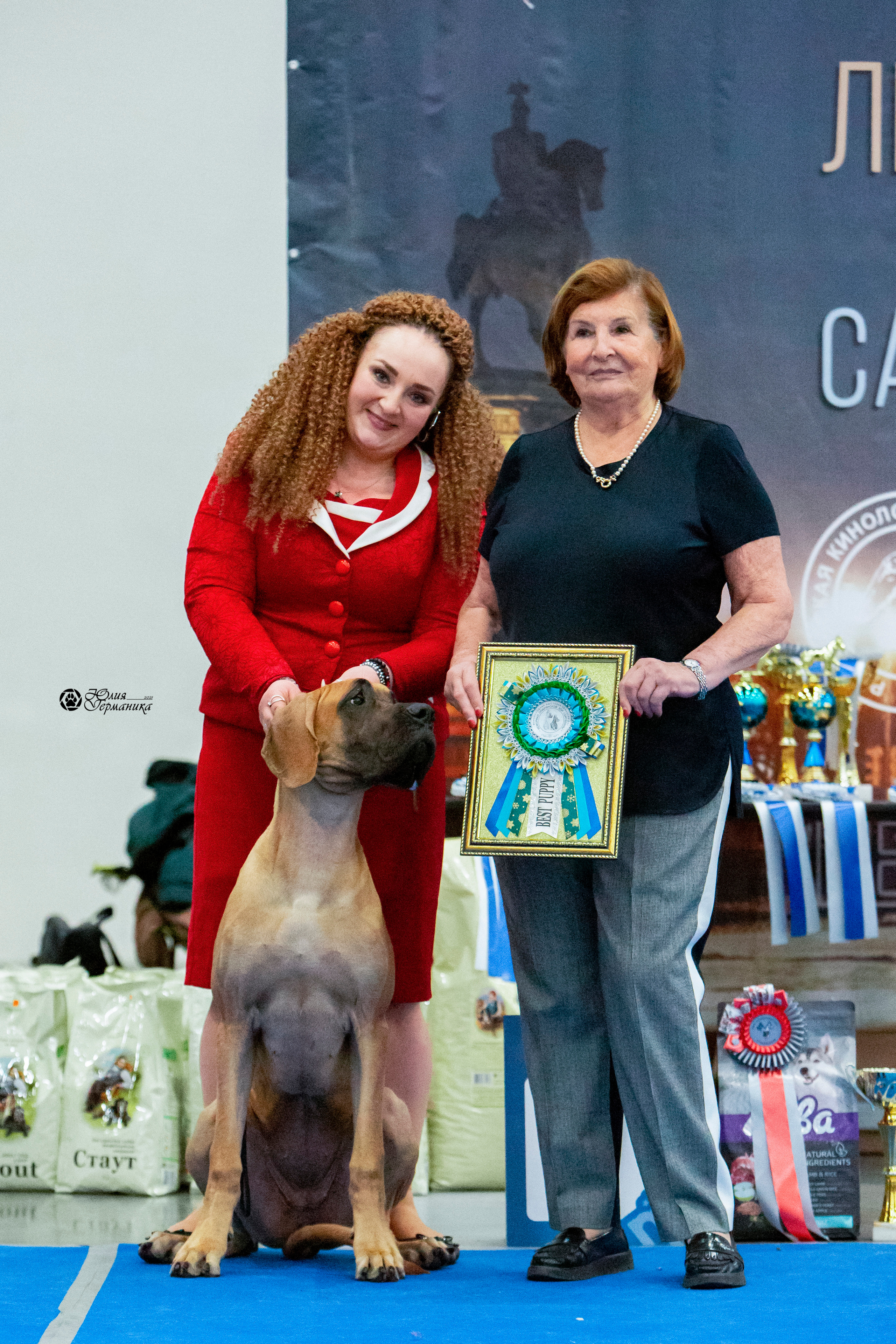 Санкт-Петербург 3хCACIB 10-12 декабря 2021. Фотограф-анималист Юлия Германика