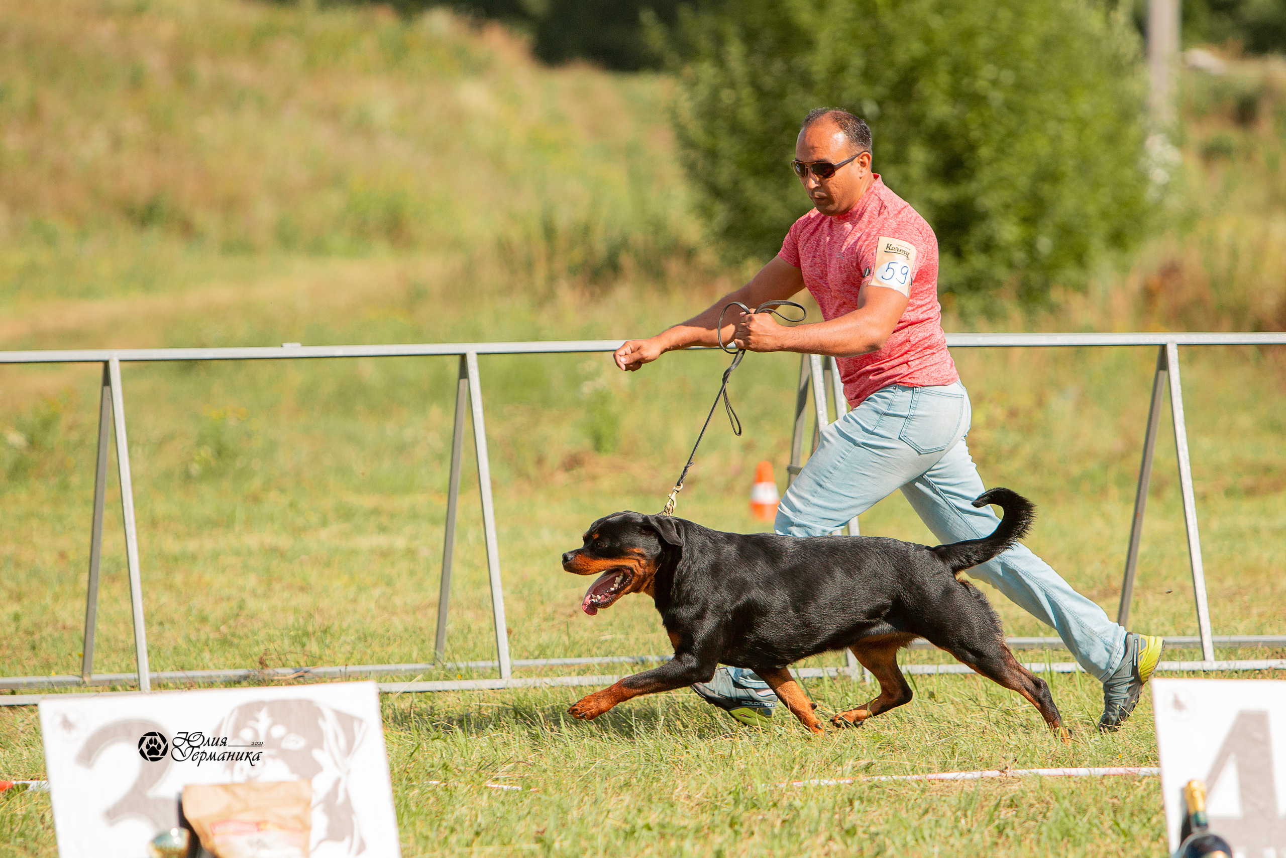Рязань,Ховрино 14-15 августа 2021 моно ротвейлеров. Фотограф-анималист Юлия Германика