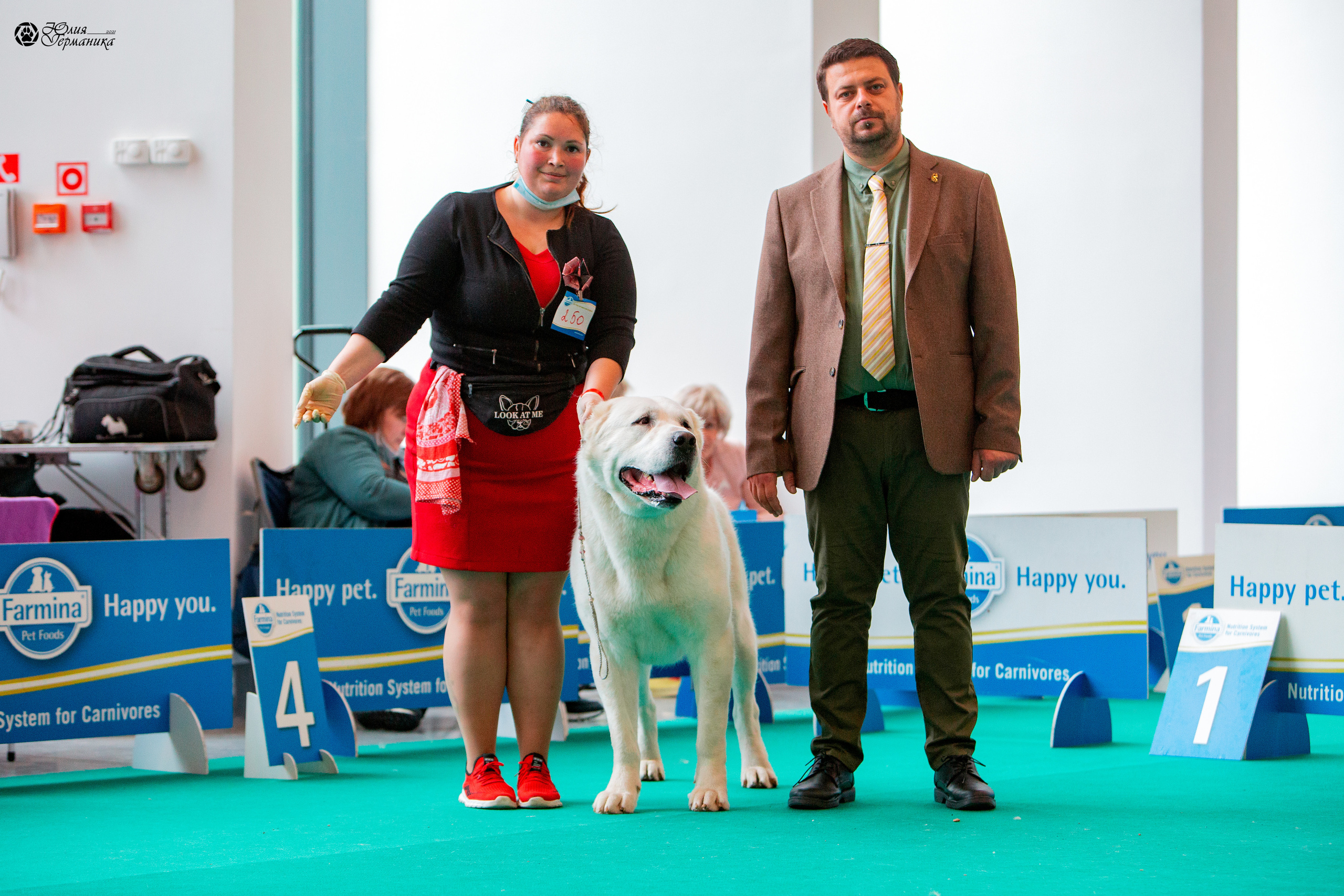 Нижний Новгород 3хCACIB 15-17 октября 2021. Фотограф-анималист Юлия Германика