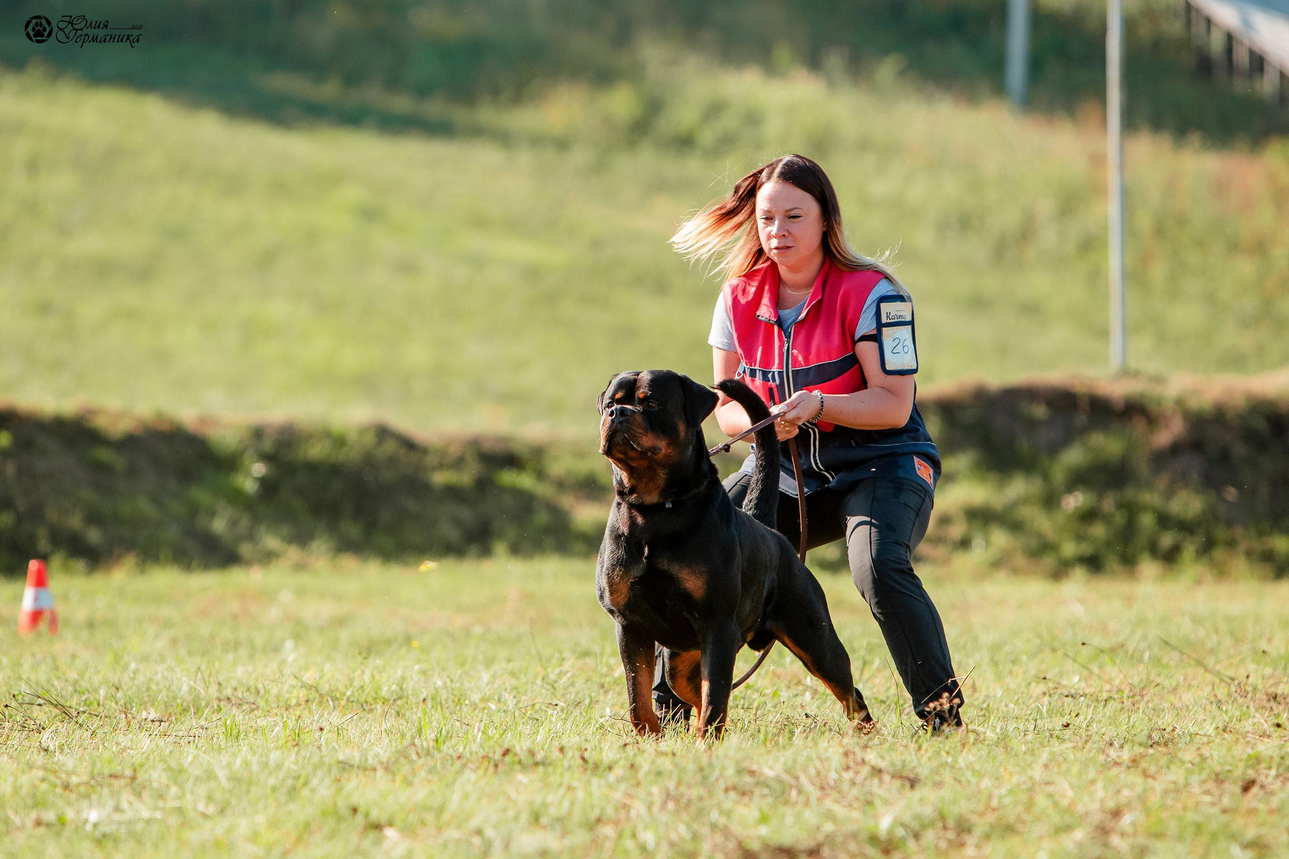 Рязань,Ховрино 14-15 августа 2021 моно ротвейлеров. Фотограф-анималист Юлия Германика