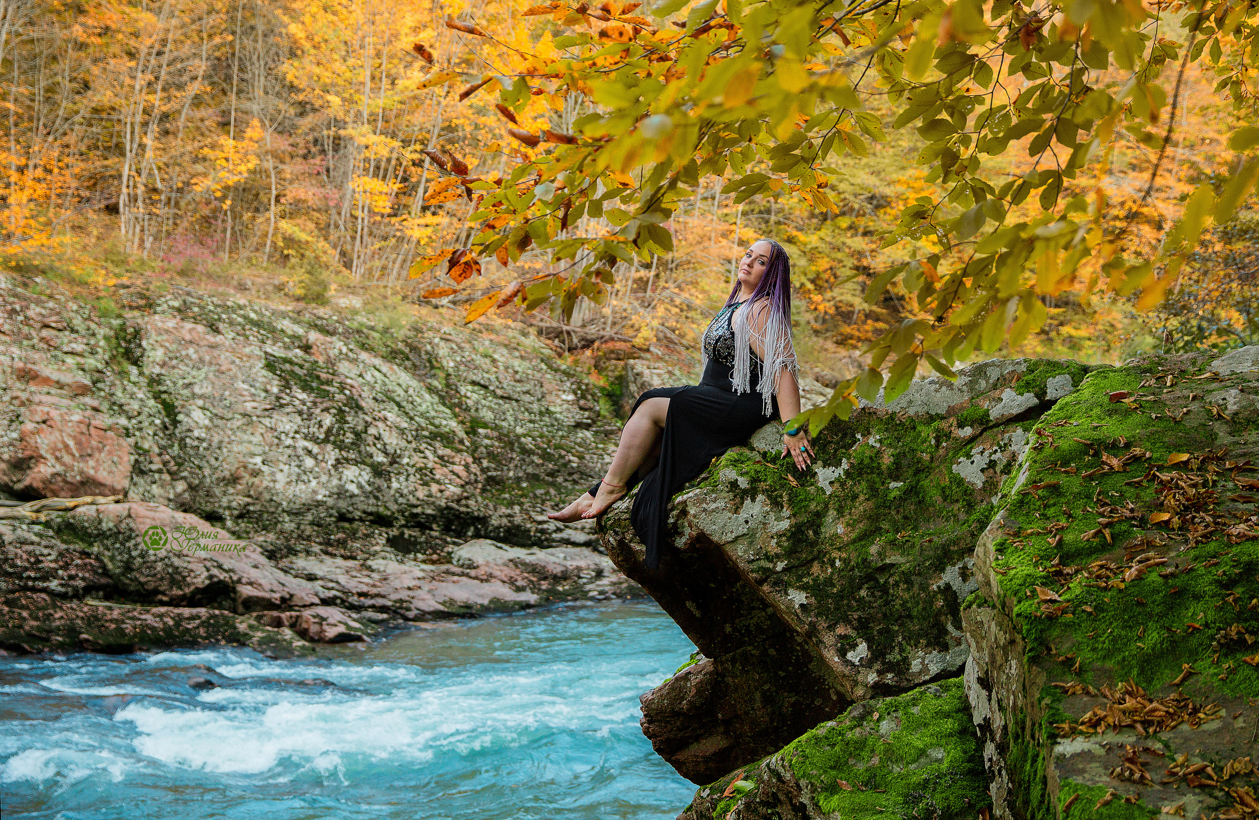 Свободная съемка. Фотограф-анималист Юлия Германика