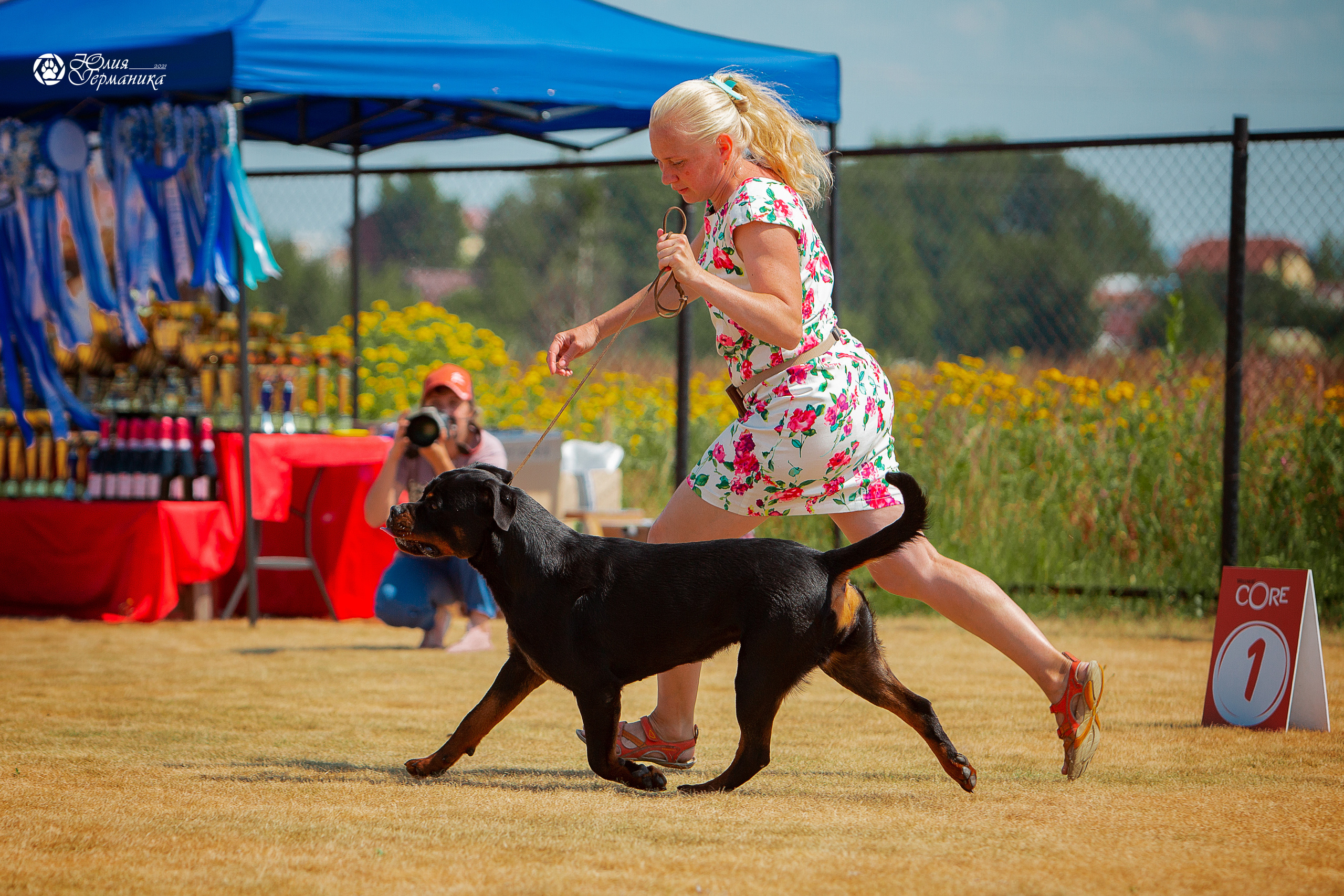 Ярославль CACIB 18 июля 2021. Фотограф-анималист Юлия Германика