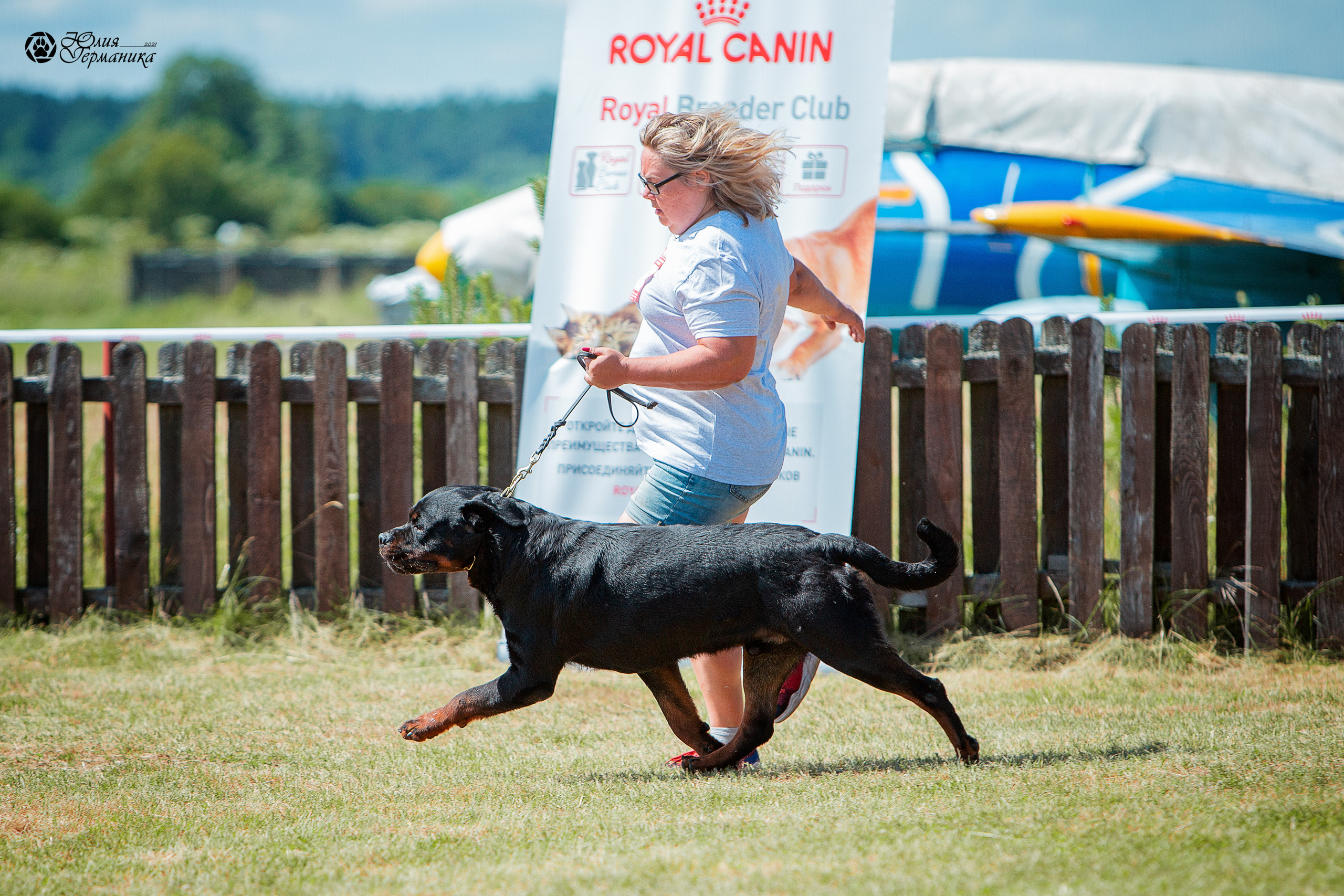 Тверь моно ротвейлеров 3-4 июля 2021. Фотограф-анималист Юлия Германика