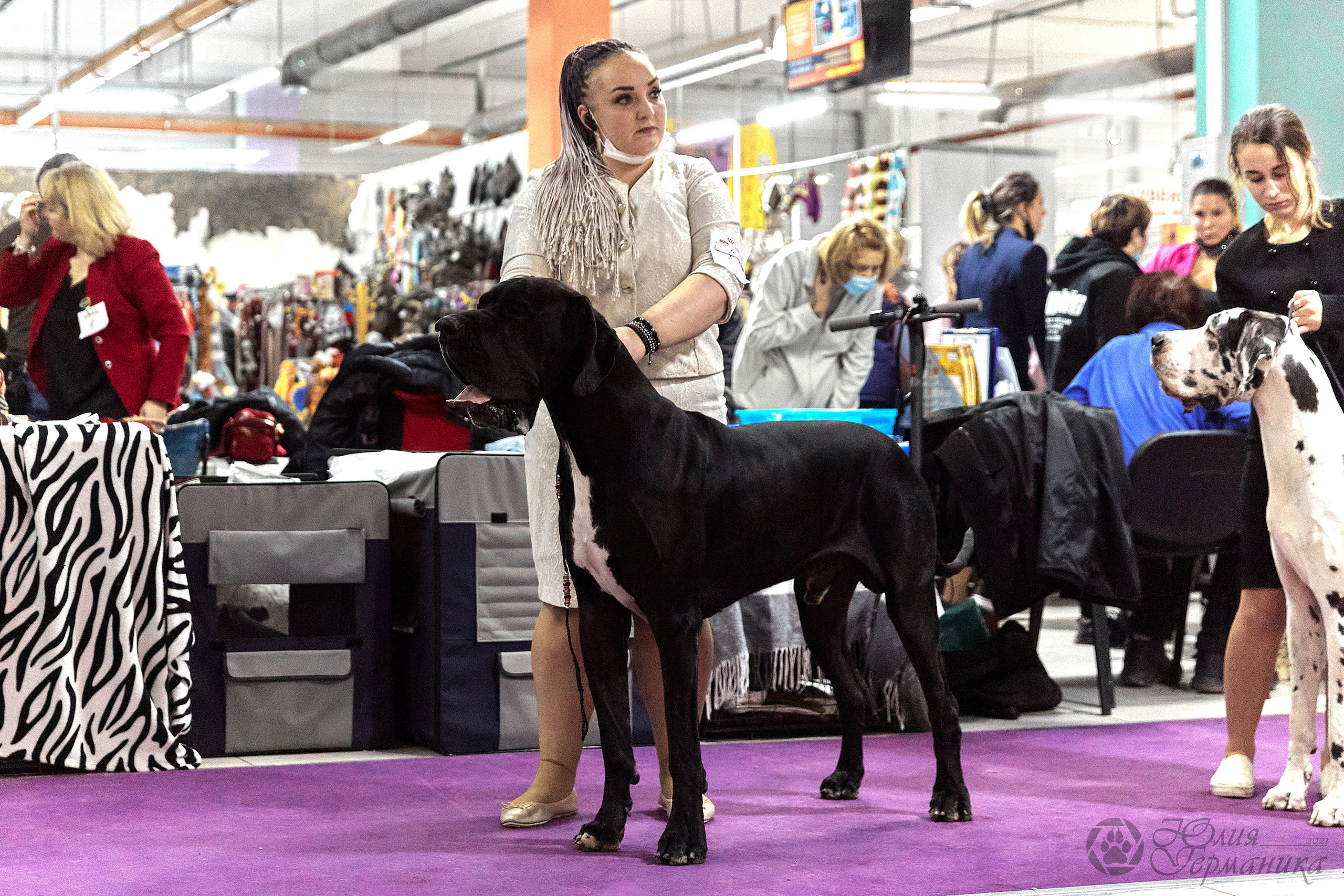 Чайник  13-14 ноября 2021. Фотограф-анималист Юлия Германика