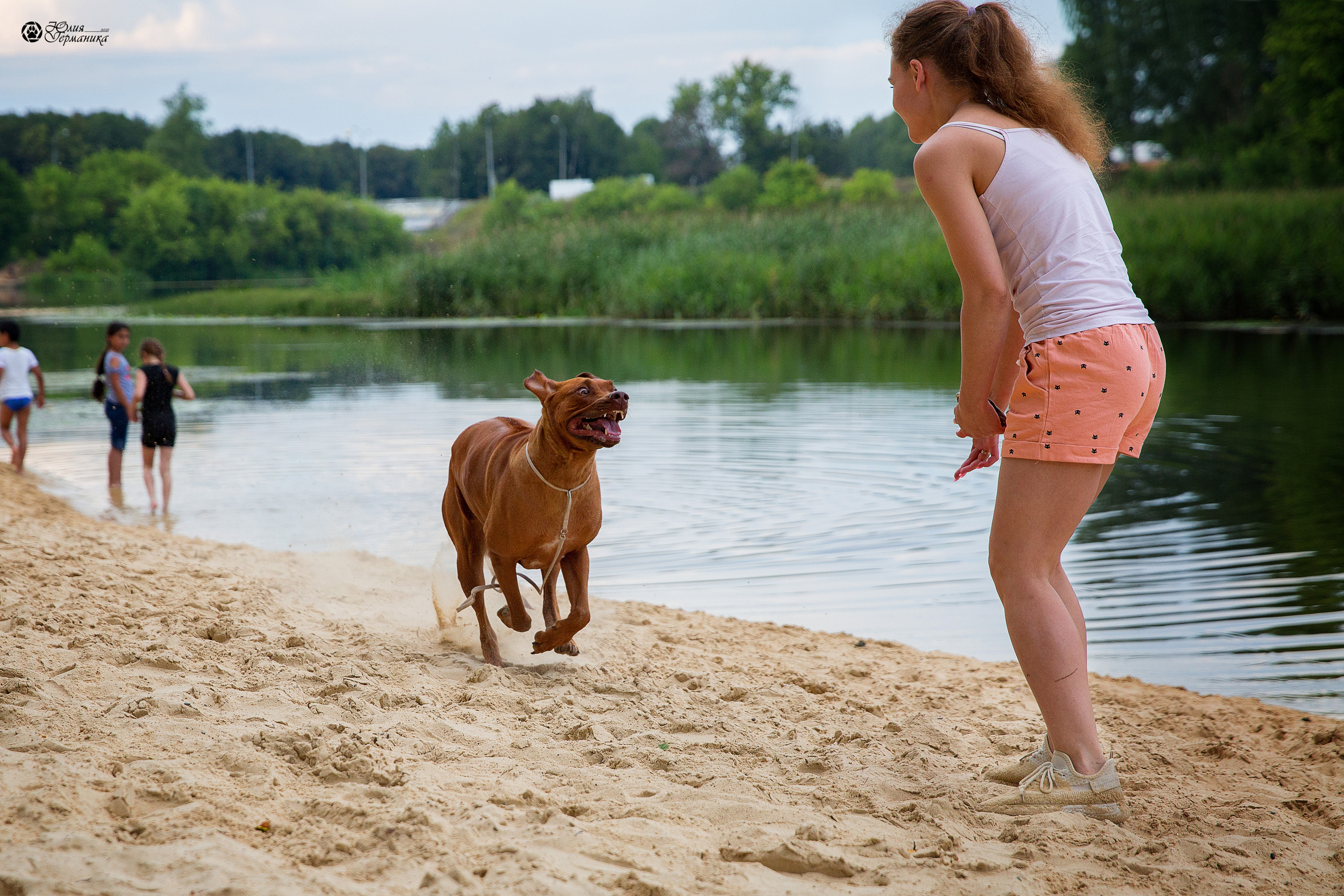 Свободная съемка. Фотограф-анималист Юлия Германика