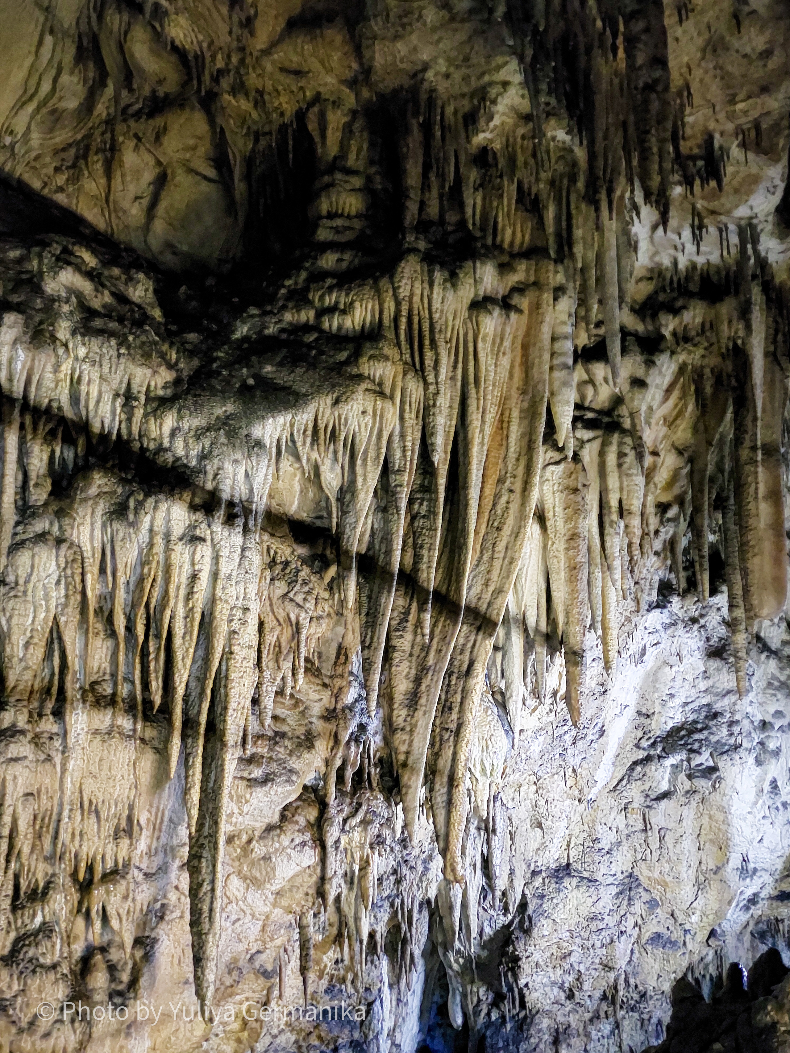 Разные фото на телефон.Города,природа. Фотограф-анималист Юлия Германика