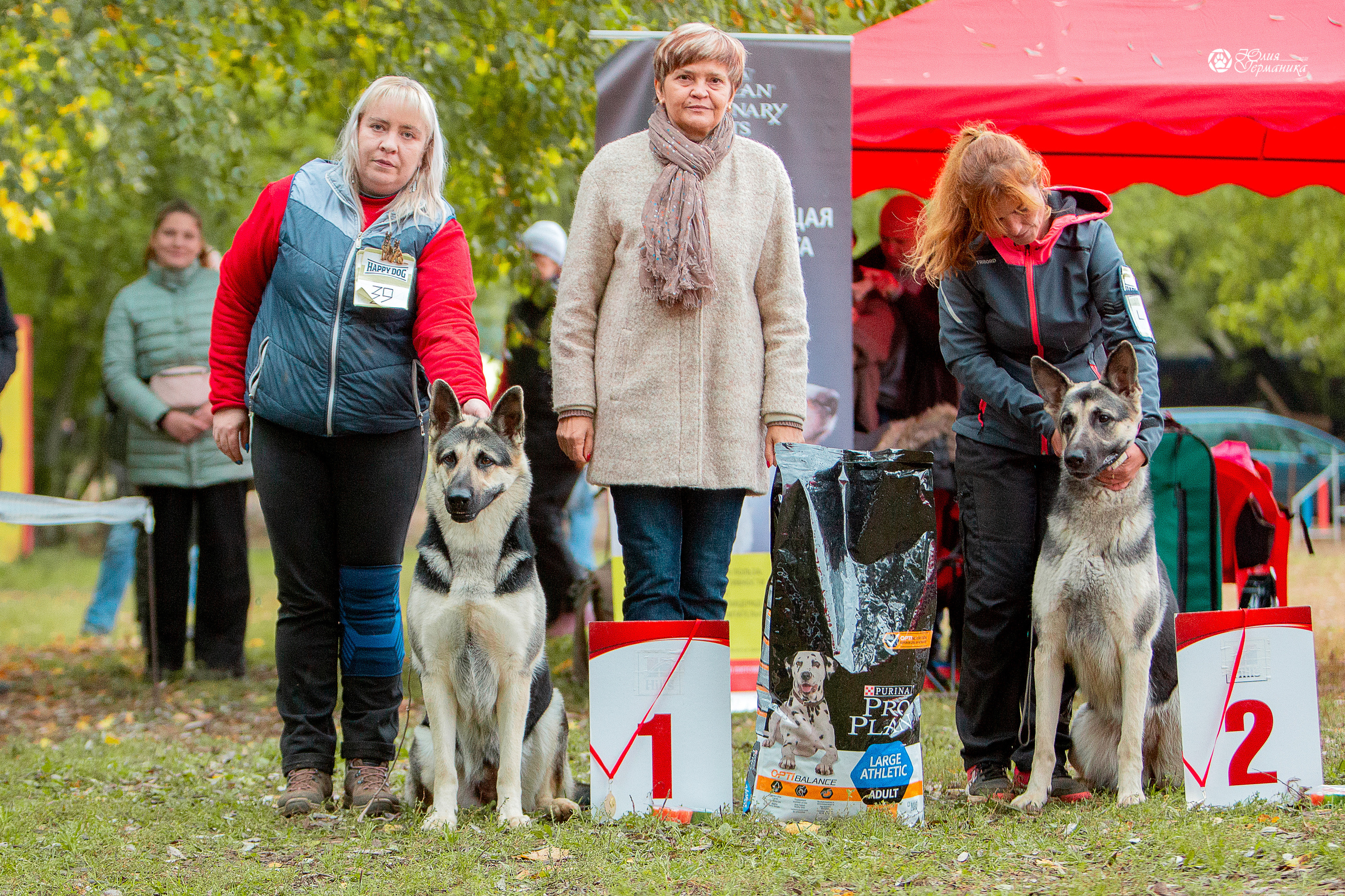 Сокольники 25 сентября Моно ВЕО Моншер Версаль. Фотограф-анималист Юлия Германика