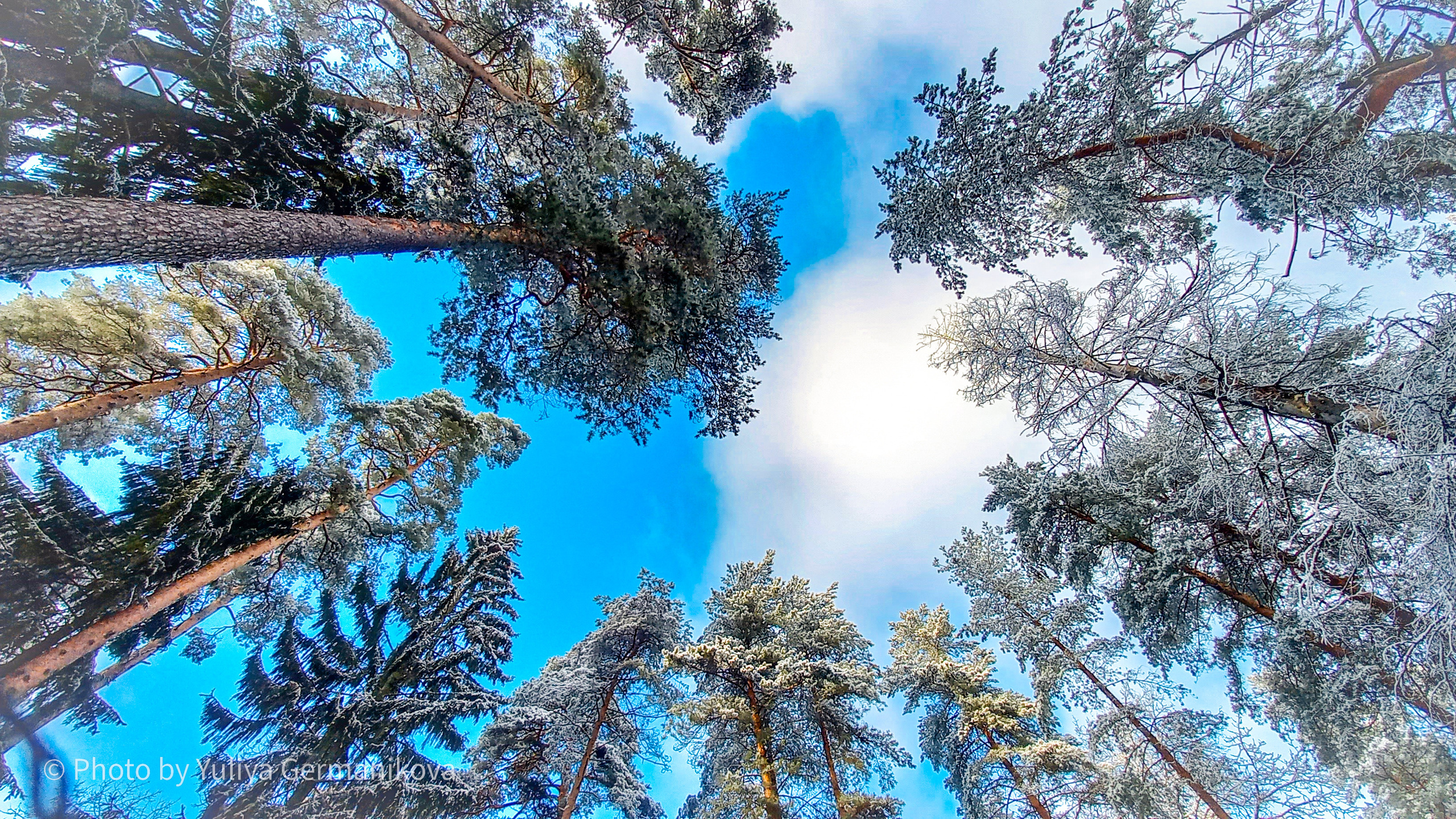 Разные фото на телефон.Города,природа. Фотограф-анималист Юлия Германика