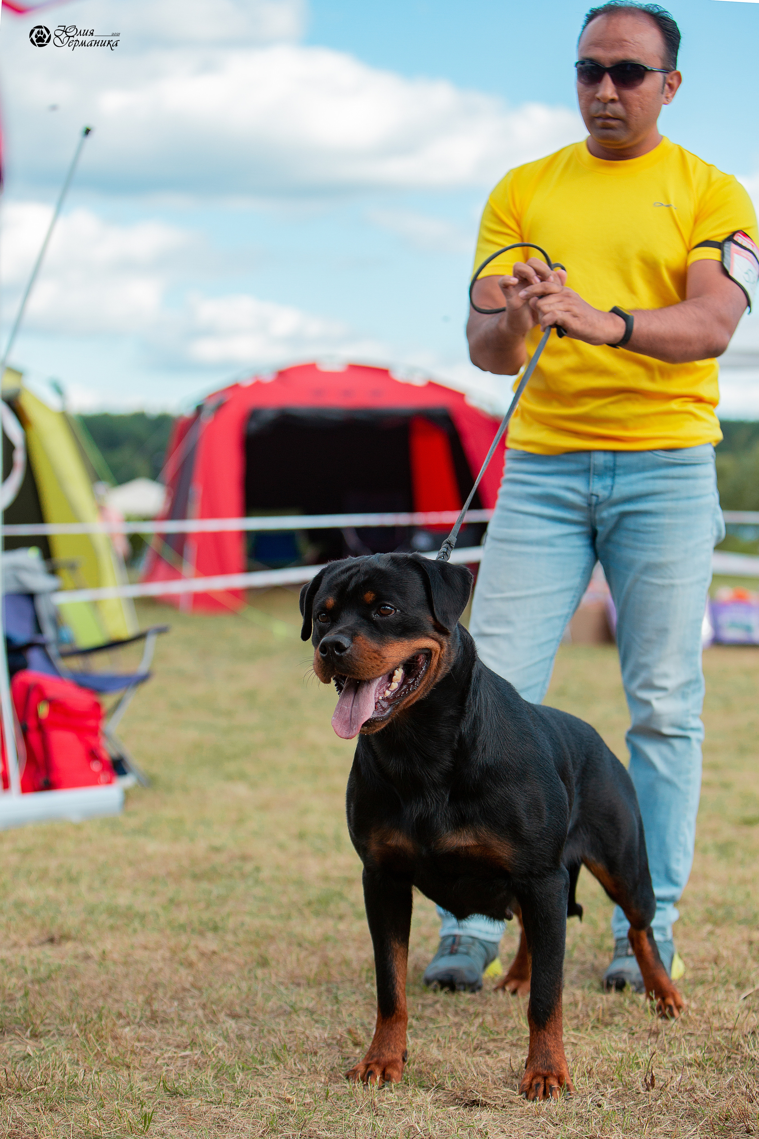 Тверь моно ротвейлеров 3-4 июля 2021. Фотограф-анималист Юлия Германика