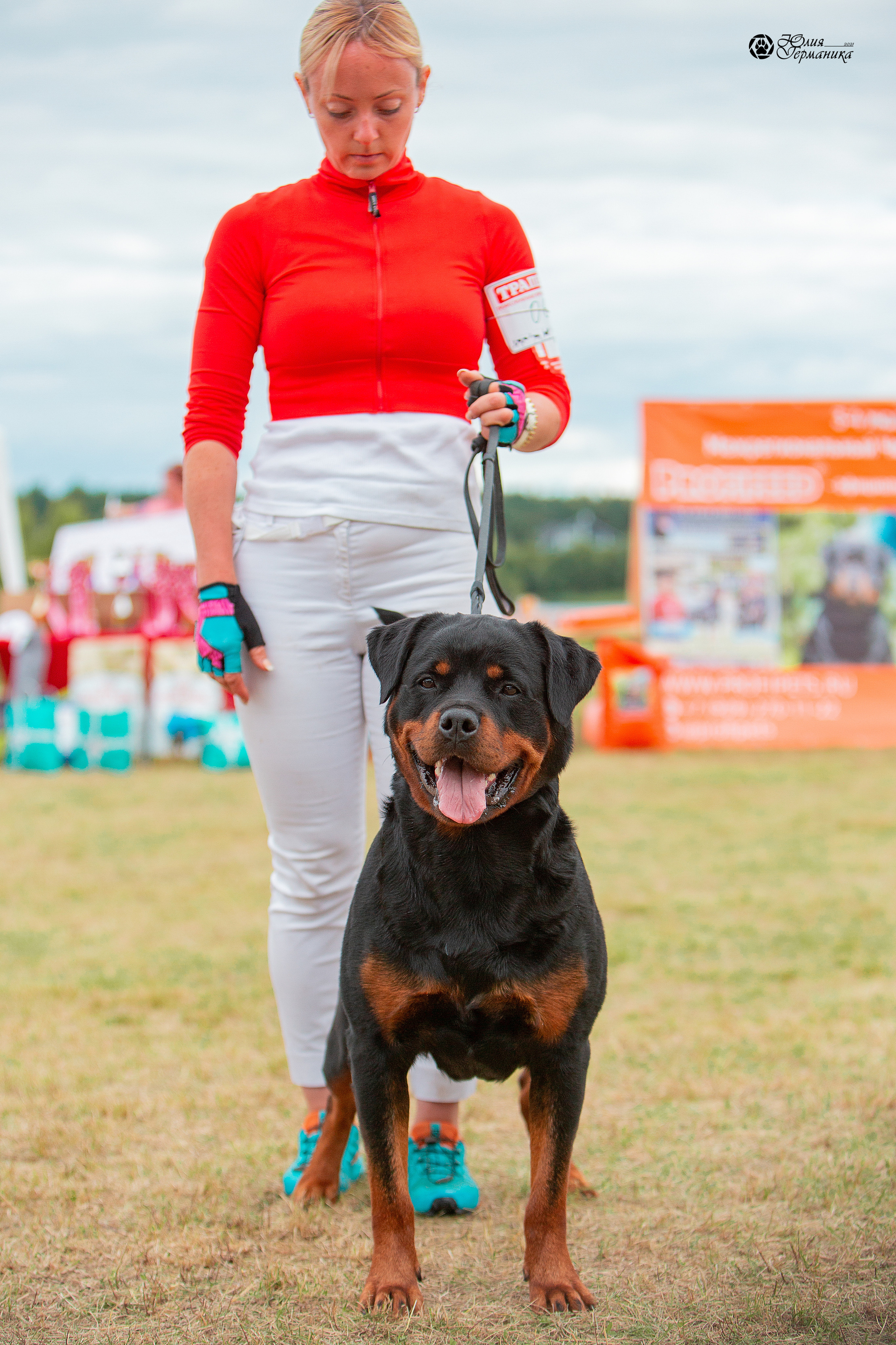 Тверь моно ротвейлеров 3-4 июля 2021. Фотограф-анималист Юлия Германика