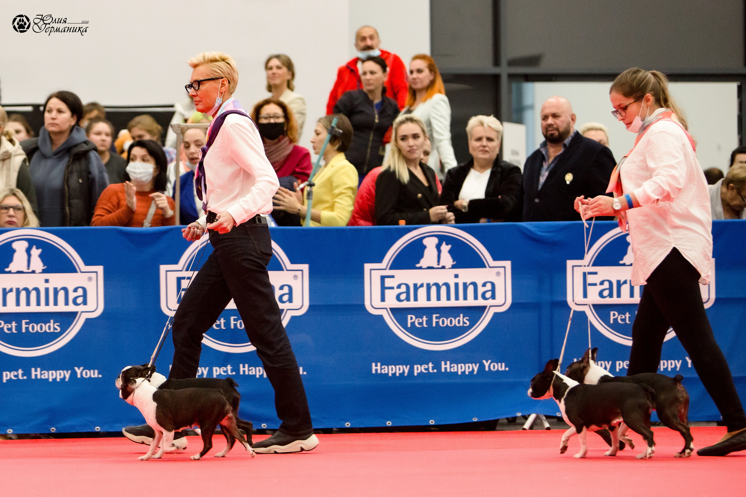 Нижний Новгород 3хCACIB 15-17 октября 2021. Фотограф-анималист Юлия Германика