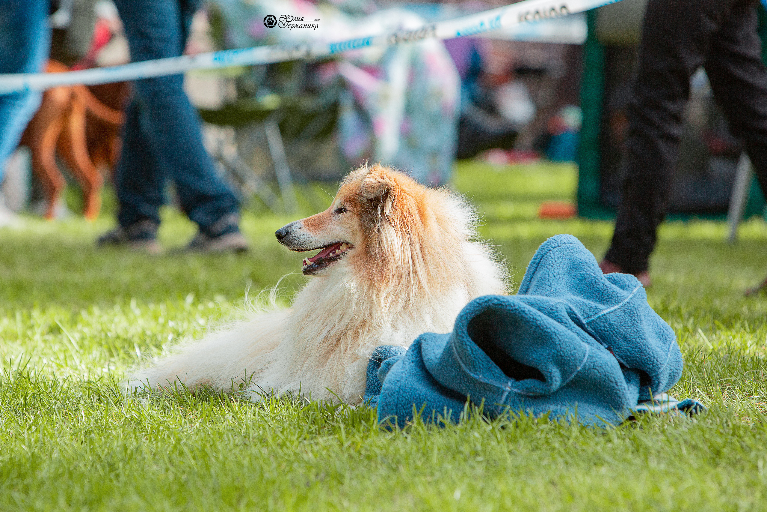 Псков 2xСАСIB 18-19 сентября 2021. Фотограф-анималист Юлия Германика