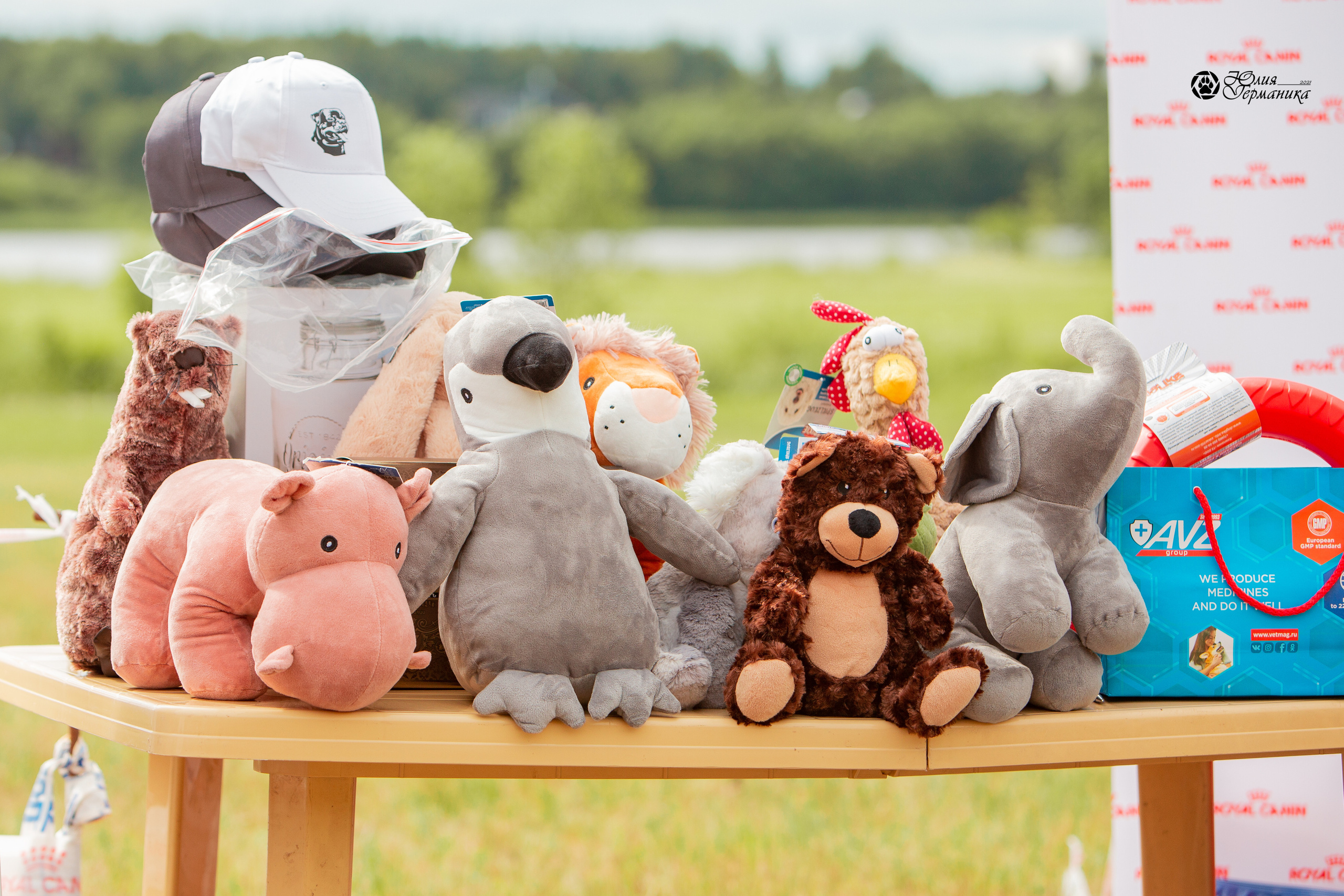 Тверь моно ротвейлеров 3-4 июля 2021. Фотограф-анималист Юлия Германика