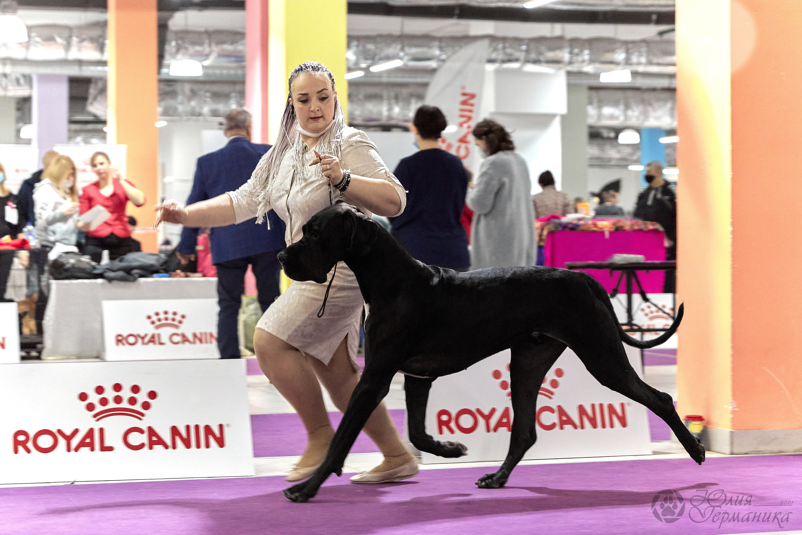 Чайник  13-14 ноября 2021. Фотограф-анималист Юлия Германика