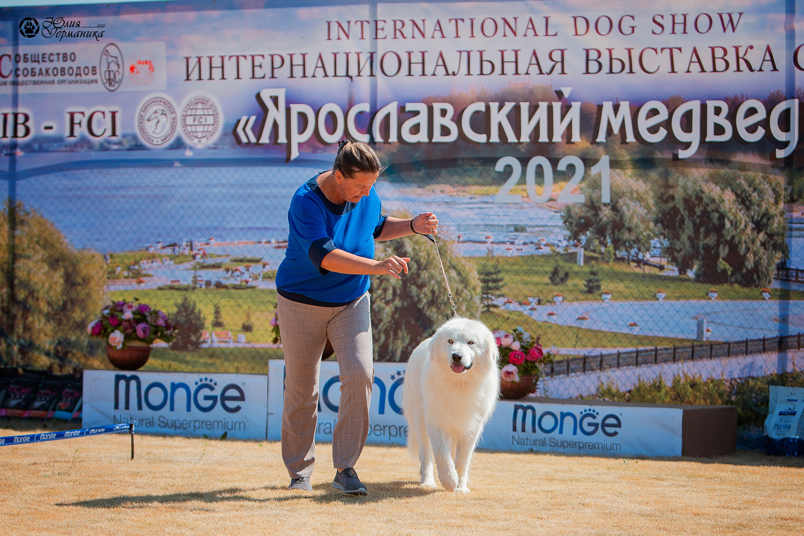 Ярославль CACIB 18 июля 2021. Фотограф-анималист Юлия Германика