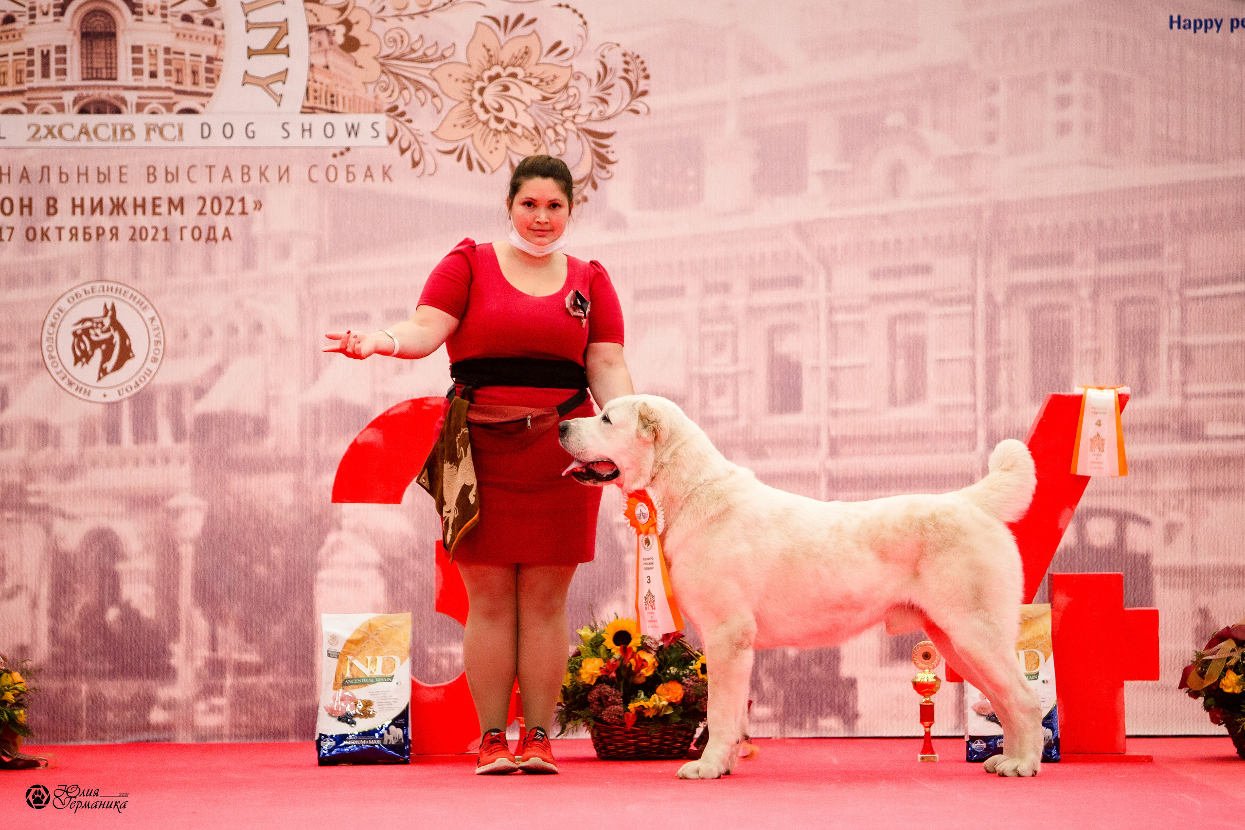 Нижний Новгород 3хCACIB 15-17 октября 2021. Фотограф-анималист Юлия Германика