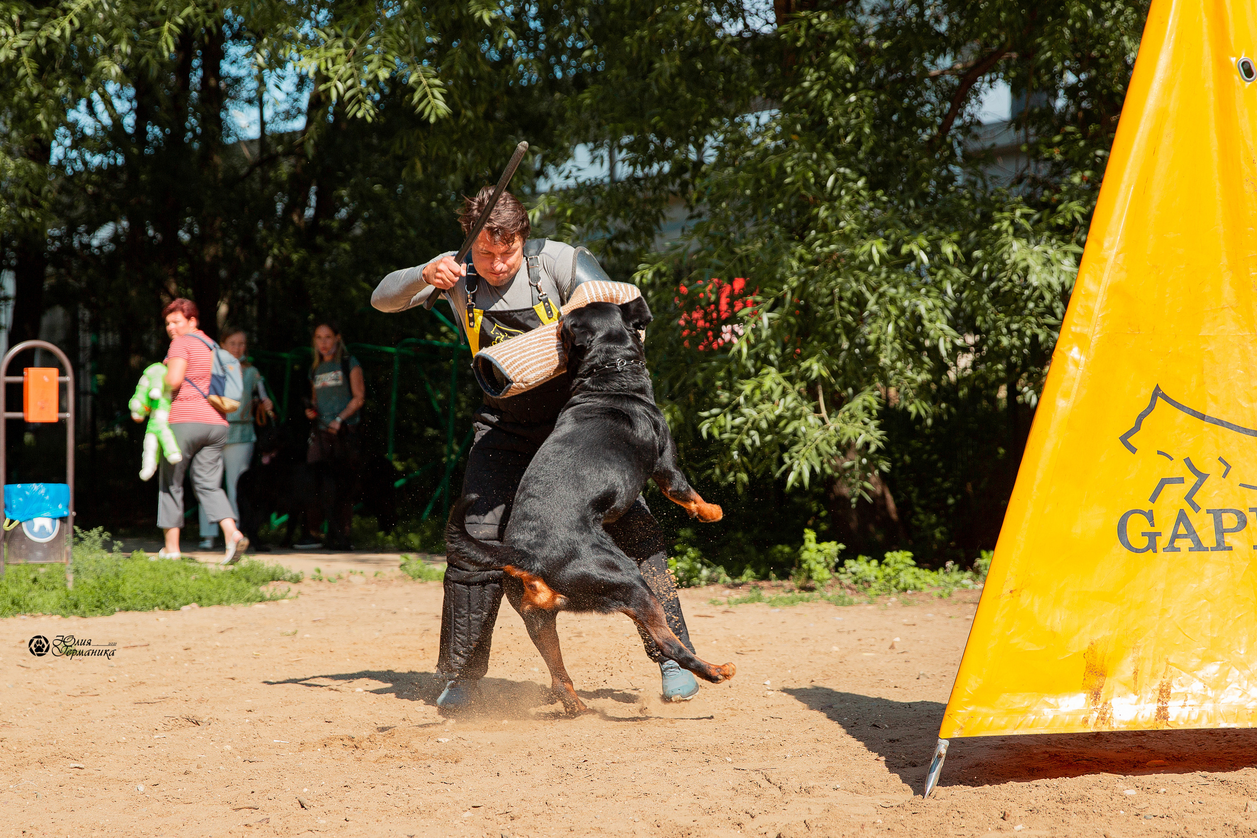 Рязань,Ховрино 14-15 августа 2021 моно ротвейлеров. Фотограф-анималист Юлия Германика