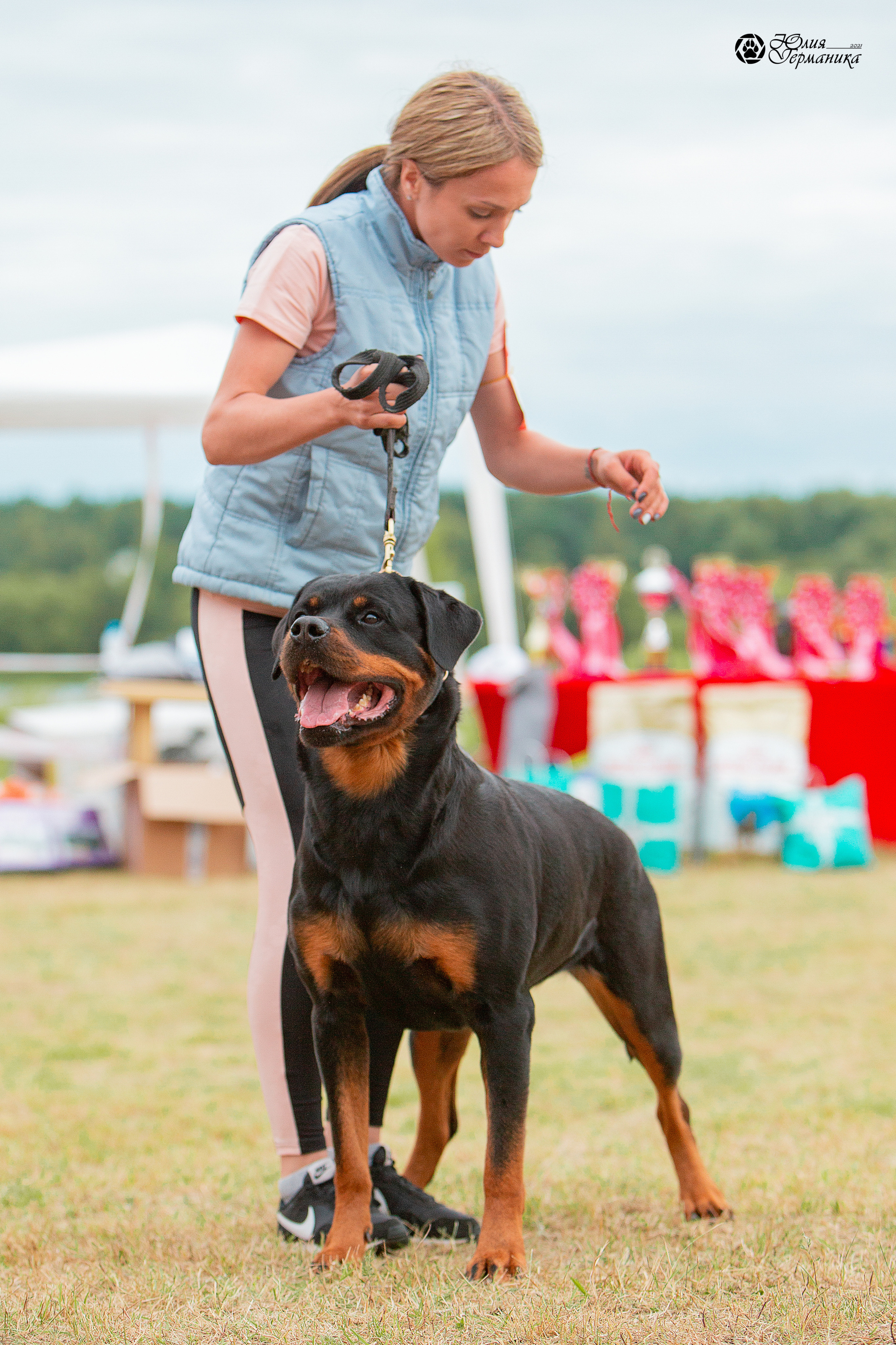 Тверь моно ротвейлеров 3-4 июля 2021. Фотограф-анималист Юлия Германика
