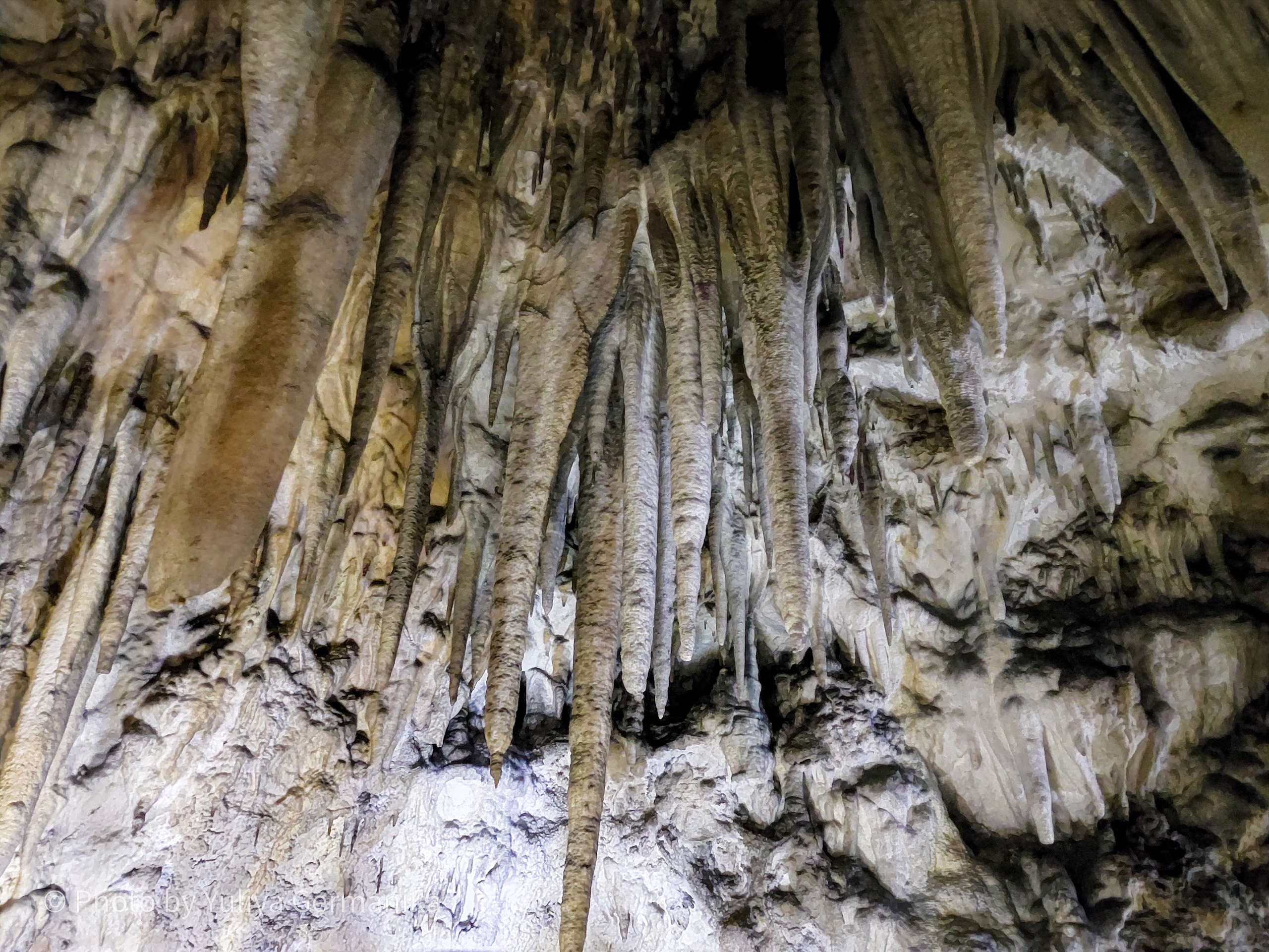 Разные фото на телефон.Города,природа. Фотограф-анималист Юлия Германика