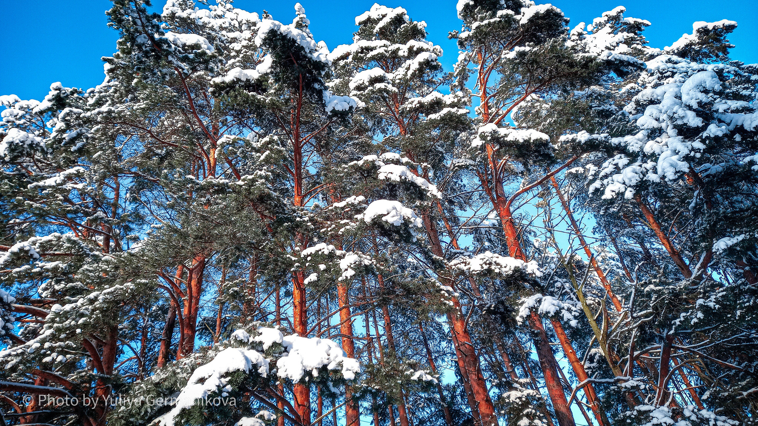 Разные фото на телефон.Города,природа. Фотограф-анималист Юлия Германика