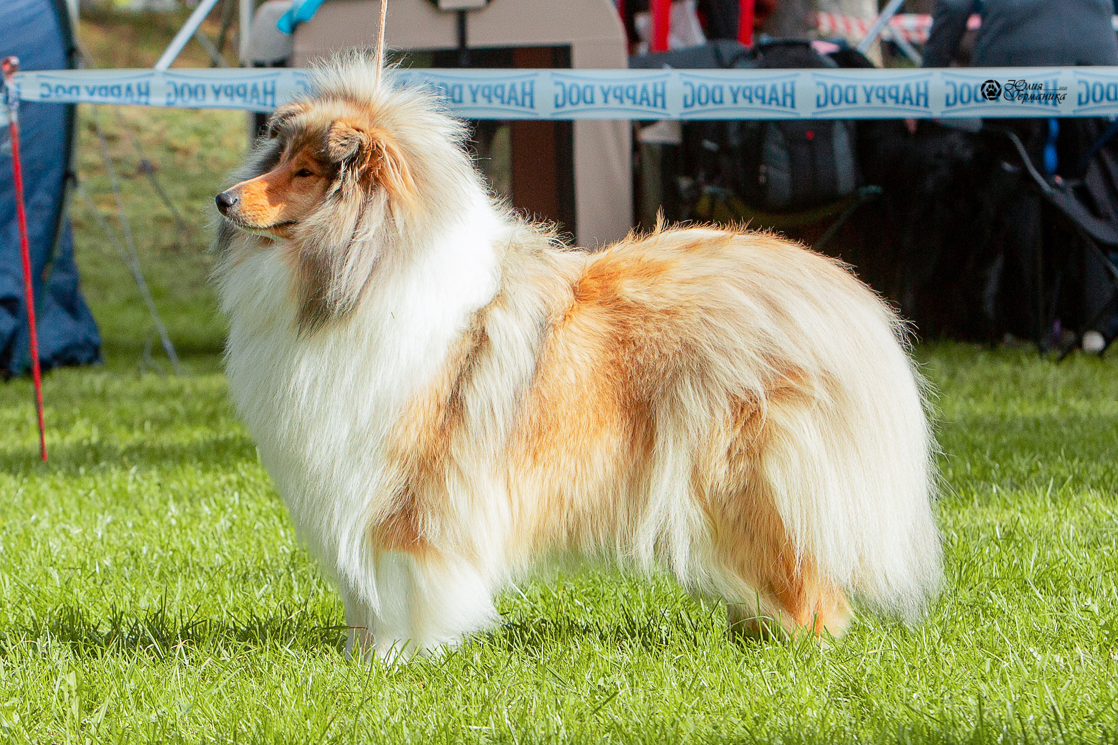 Псков 2xСАСIB 18-19 сентября 2021. Фотограф-анималист Юлия Германика