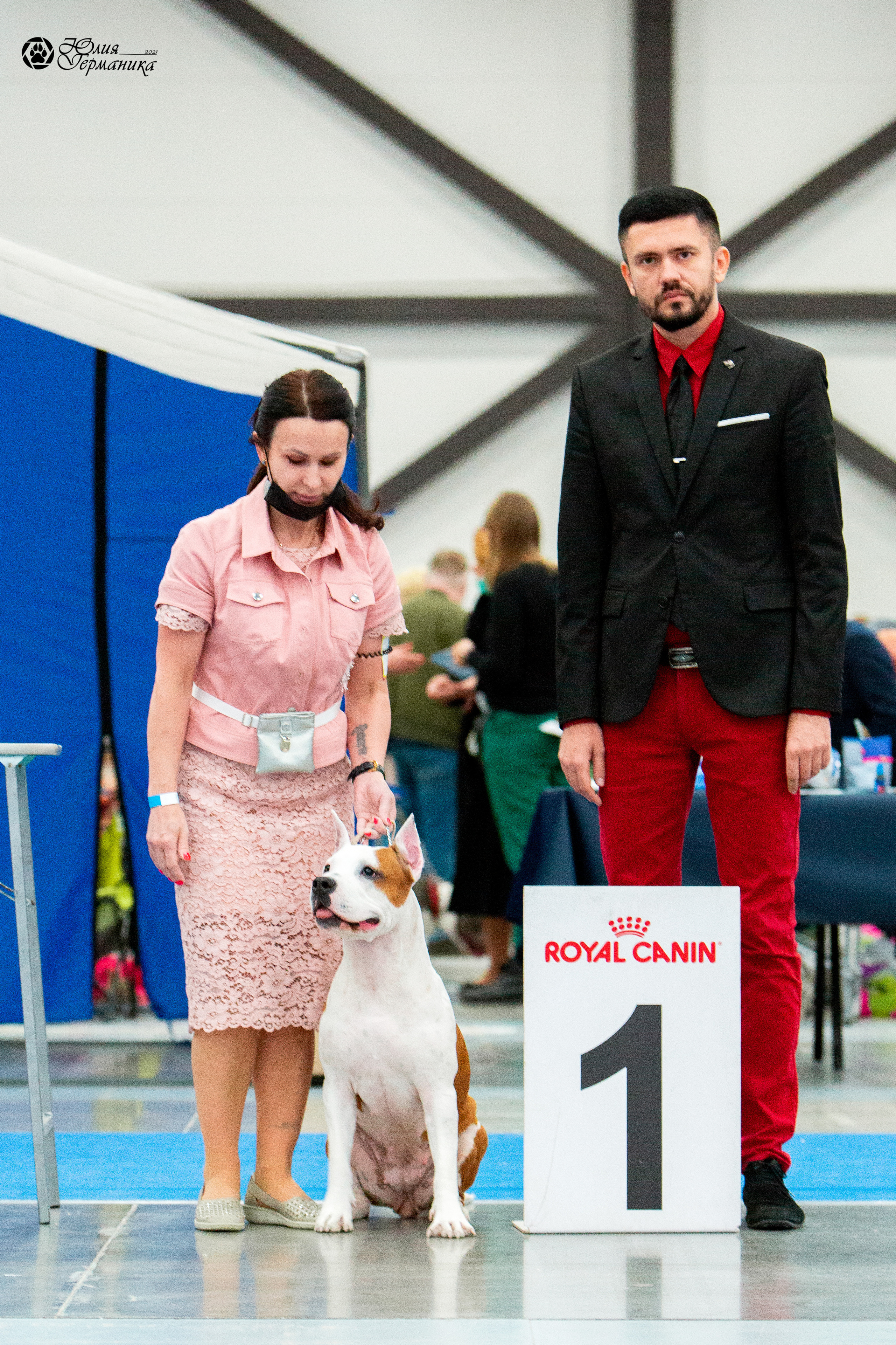 Питер 4 CACIB 22-25 октября 2021. Фотограф-анималист Юлия Германика