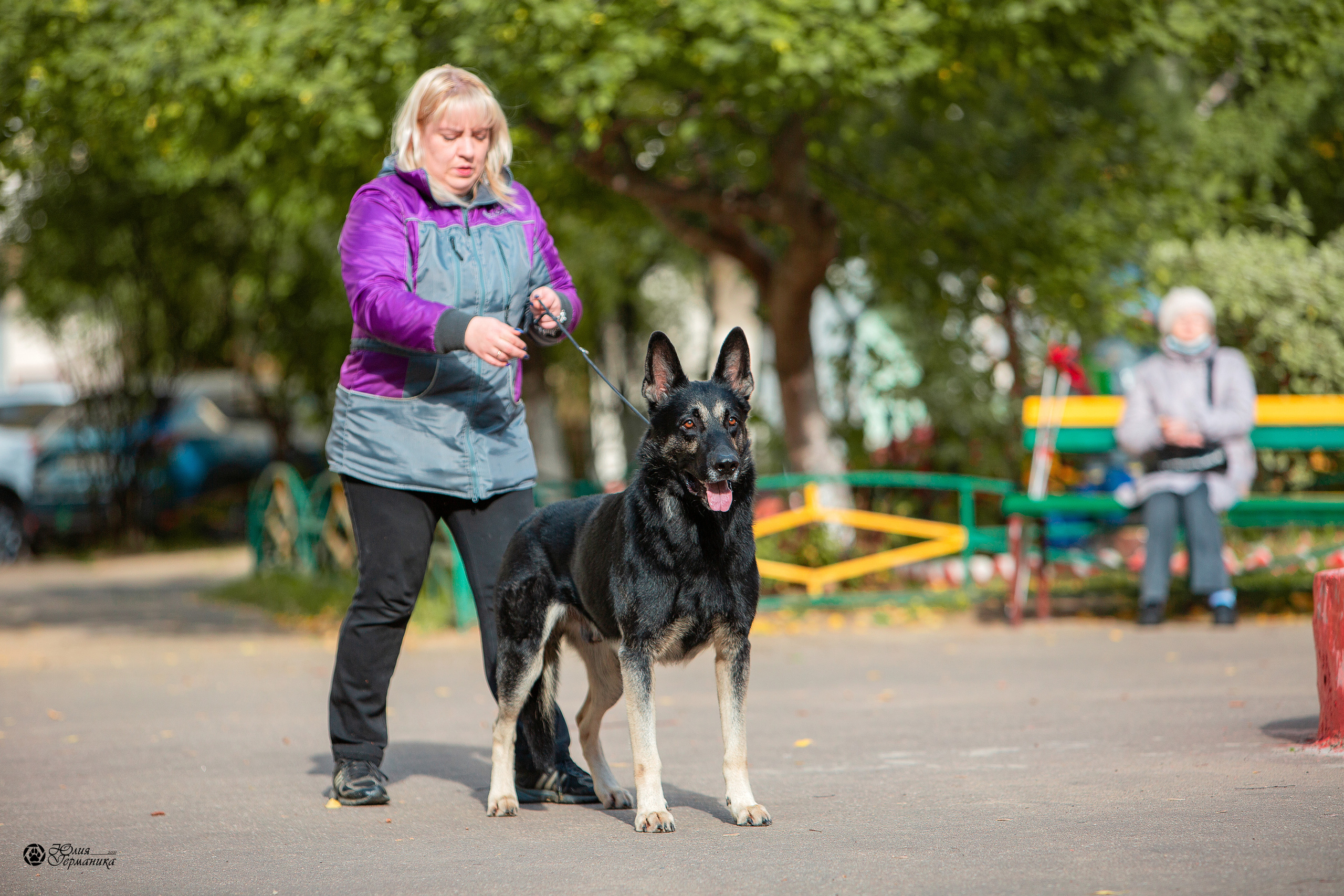 Свободная съемка. Фотограф-анималист Юлия Германика