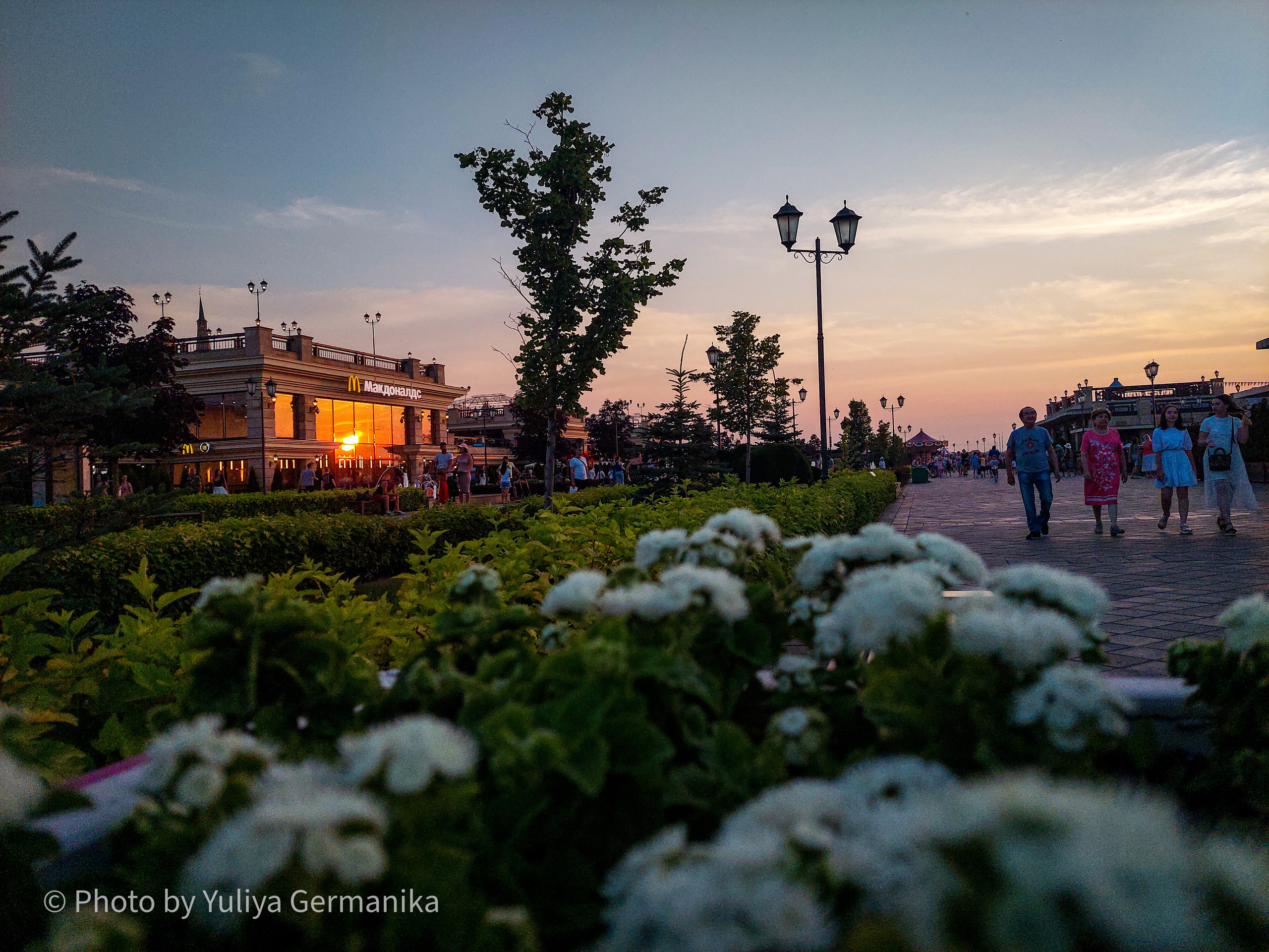 Разные фото на телефон.Города,природа. Фотограф-анималист Юлия Германика