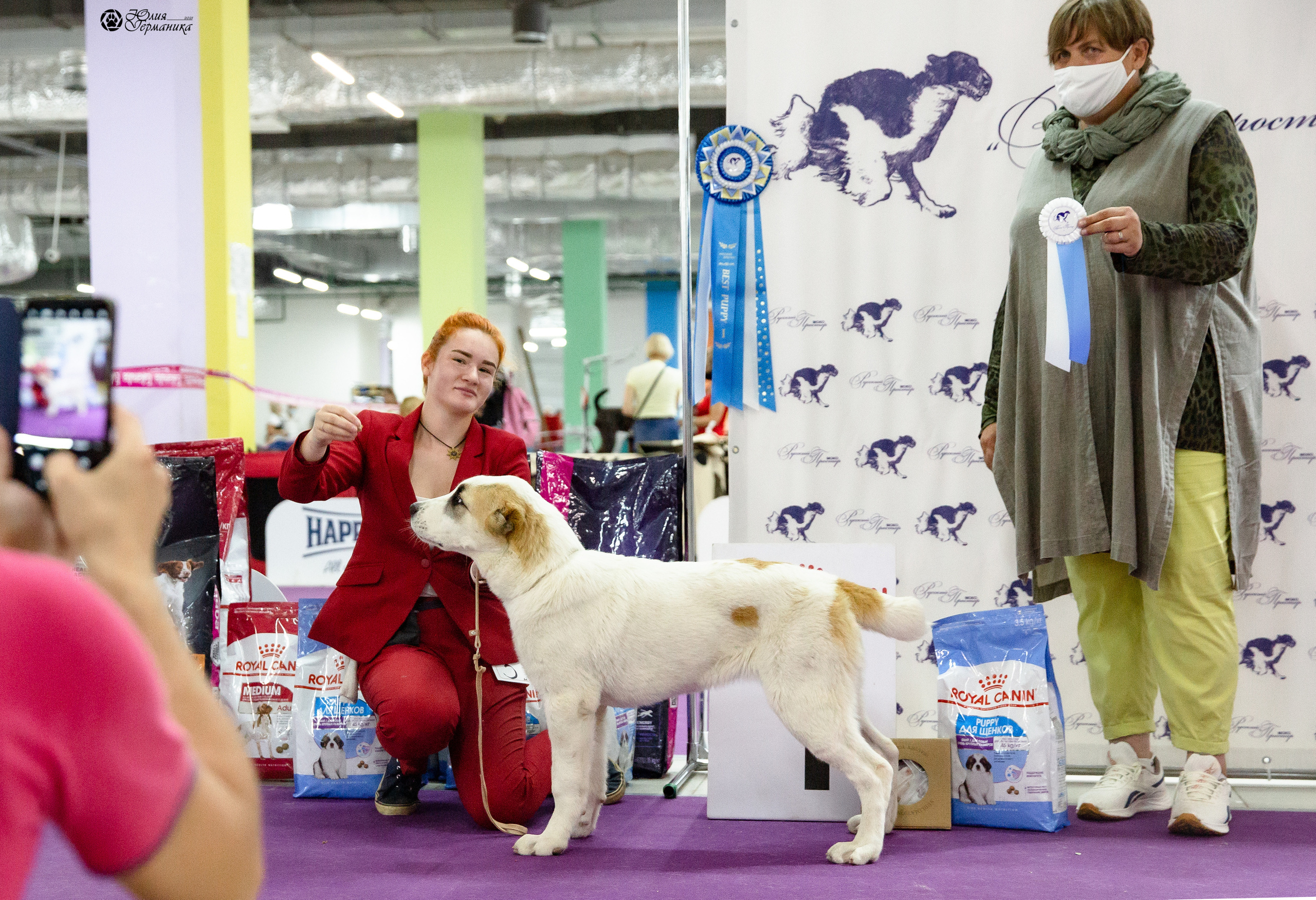 Чайна-Таун 2021. Фотограф-анималист Юлия Германика