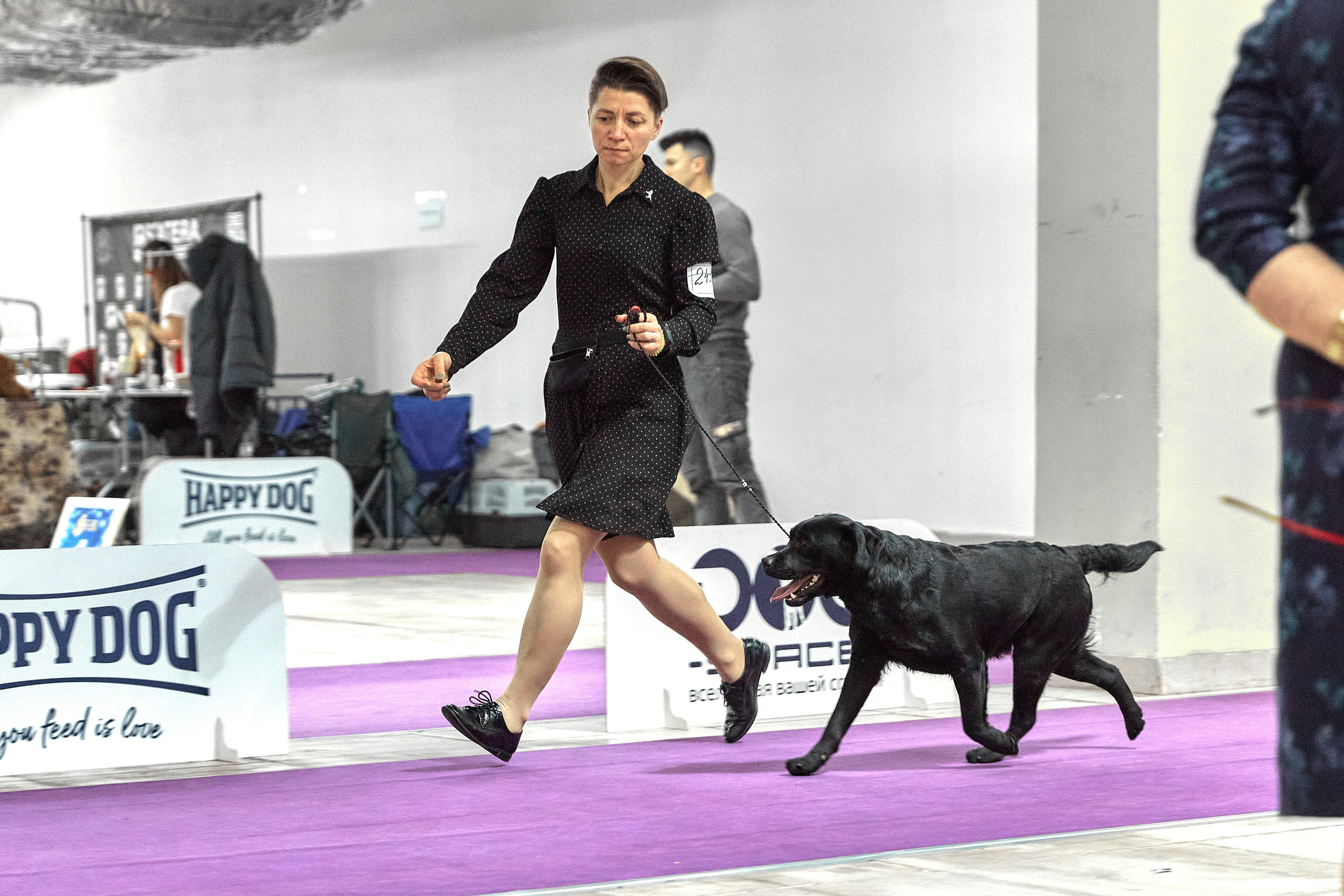 Чайник  13-14 ноября 2021. Фотограф-анималист Юлия Германика