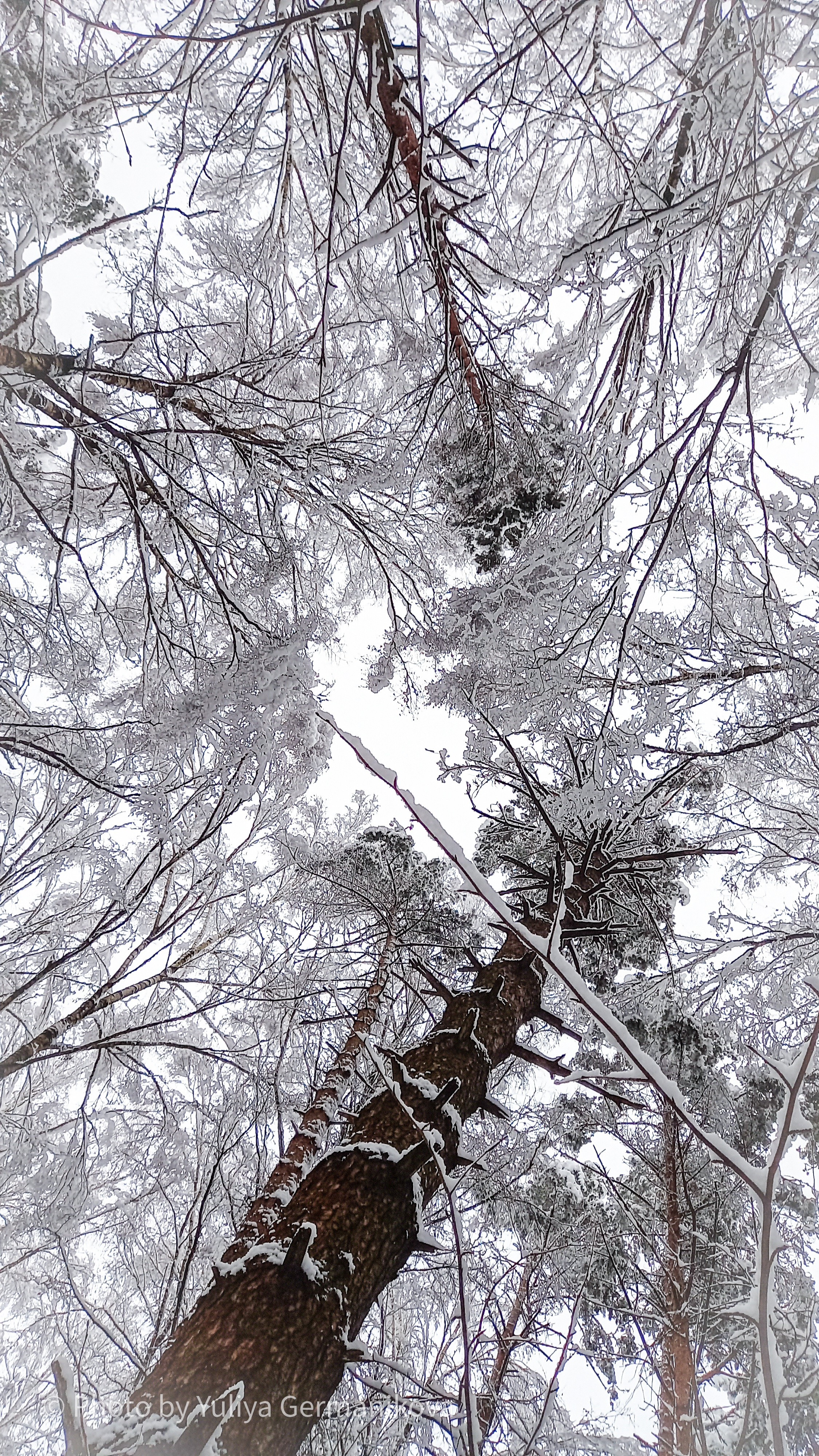 Разные фото на телефон.Города,природа. Фотограф-анималист Юлия Германика