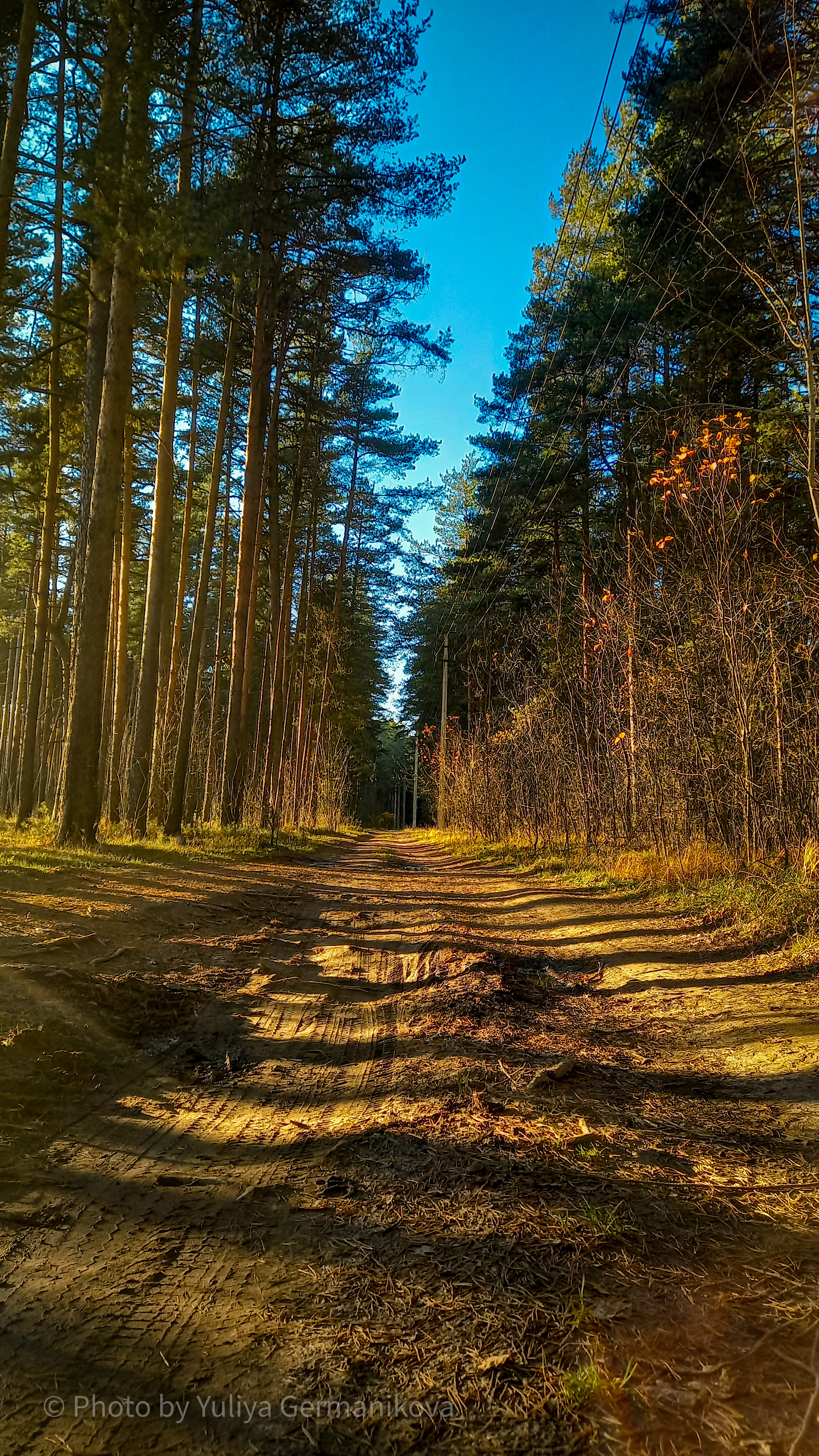 Разные фото на телефон.Города,природа. Фотограф-анималист Юлия Германика