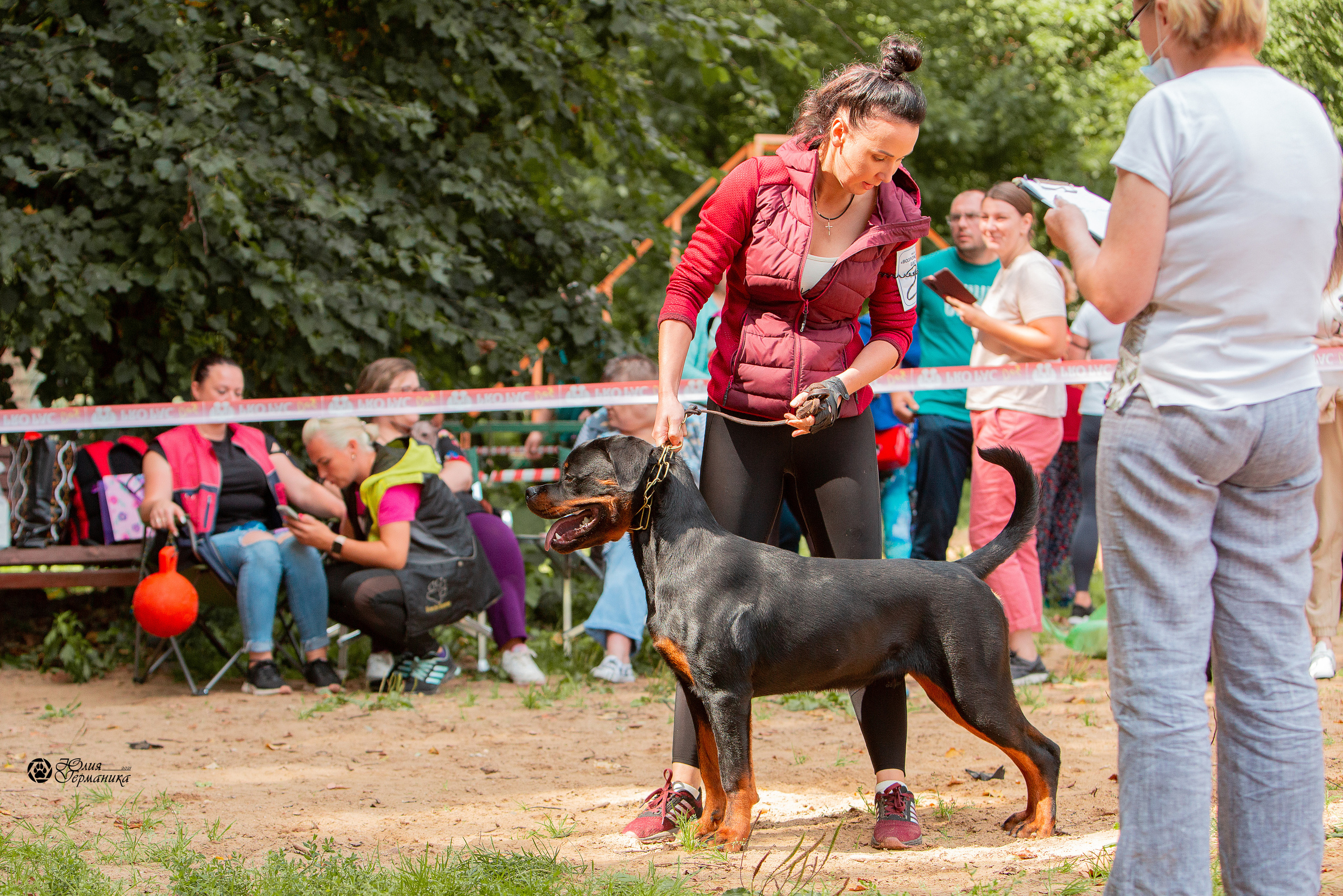 Рязань,Ховрино 14-15 августа 2021 моно ротвейлеров. Фотограф-анималист Юлия Германика