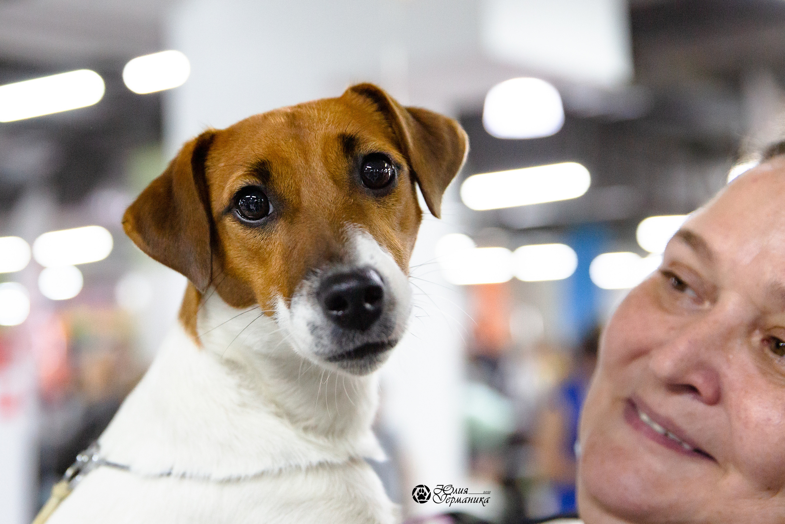 Чайна-Таун 2021. Фотограф-анималист Юлия Германика