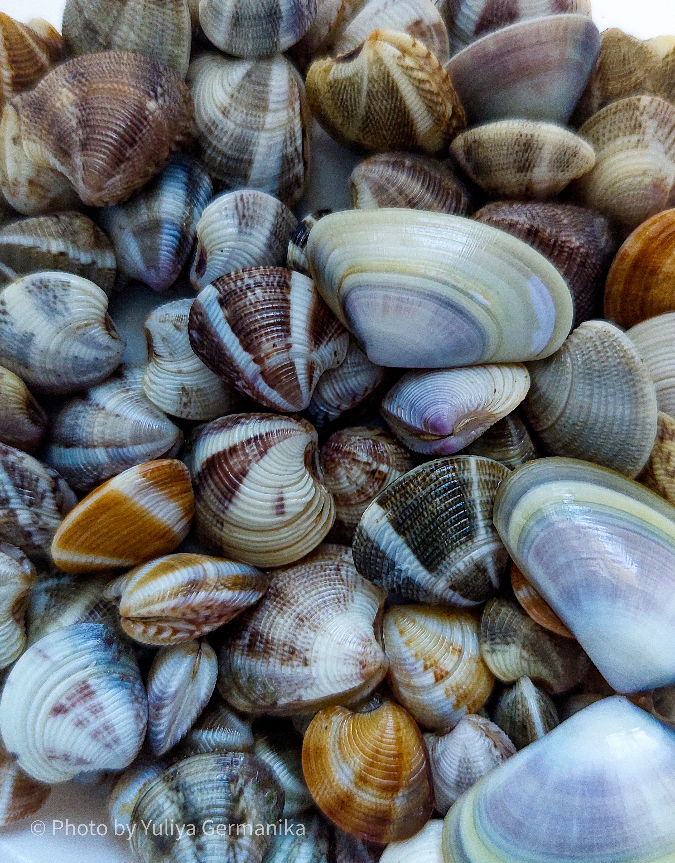 Разные фото на телефон.Города,природа. Фотограф-анималист Юлия Германика