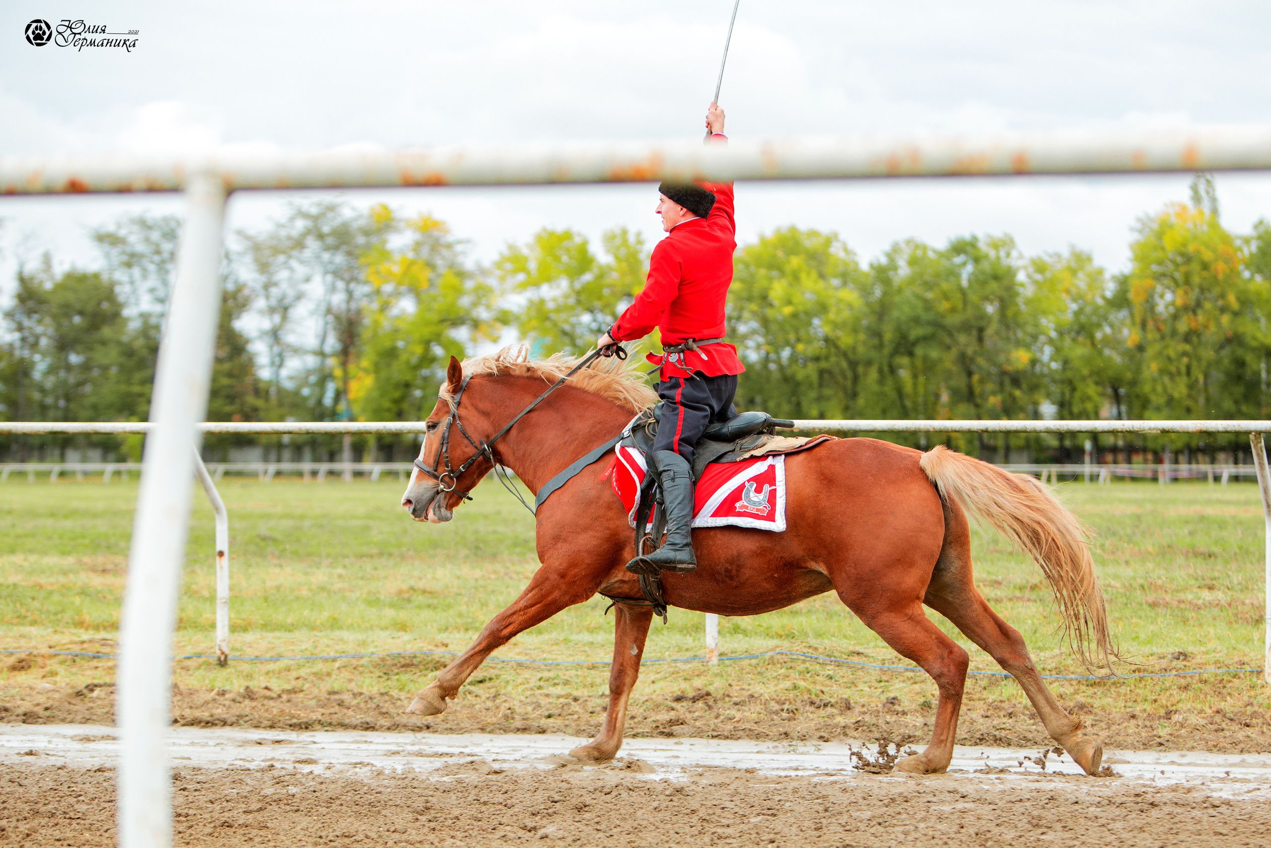 Съёмки с лошадьми. Фотограф-анималист Юлия Германика