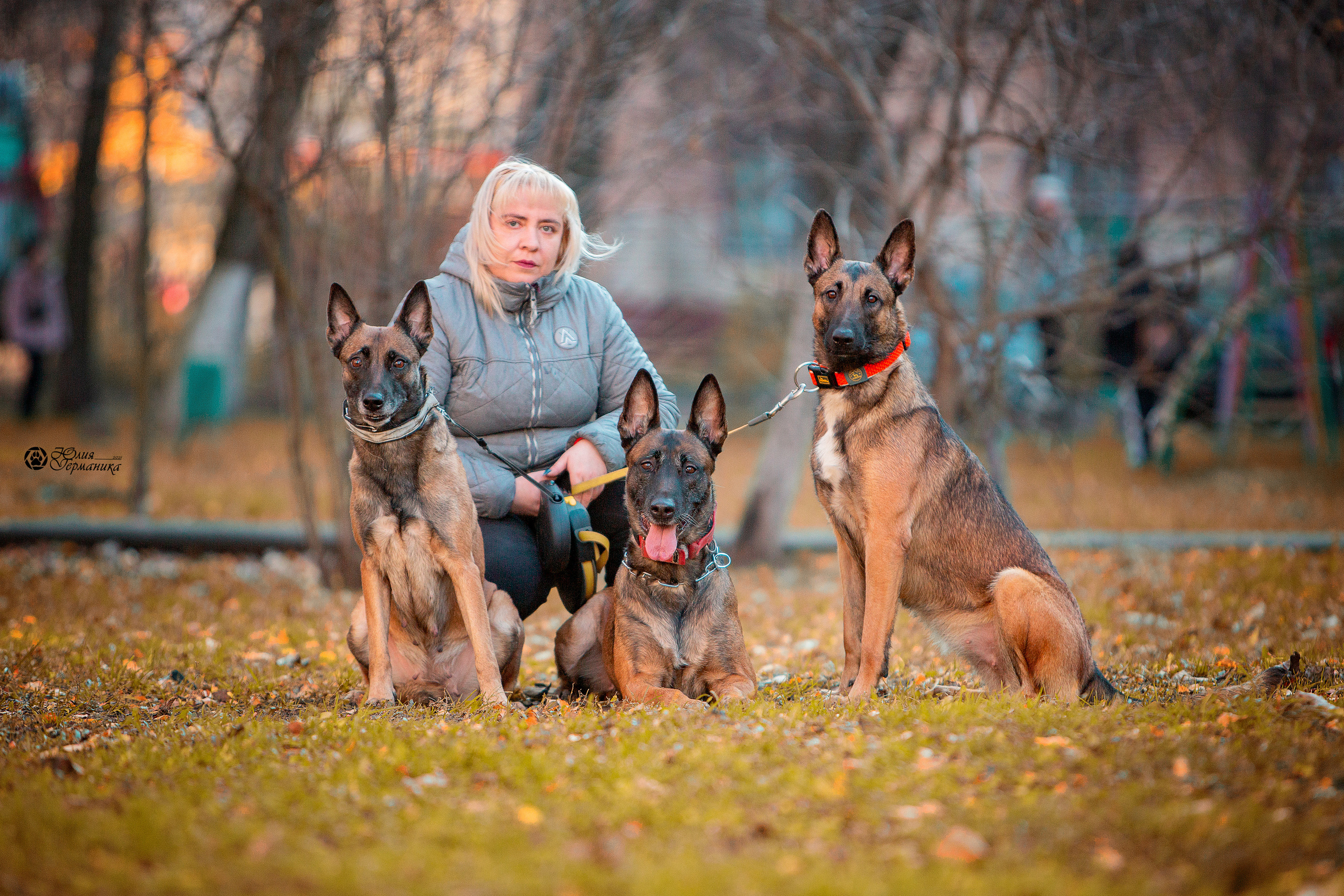 Свободная съемка. Фотограф-анималист Юлия Германика