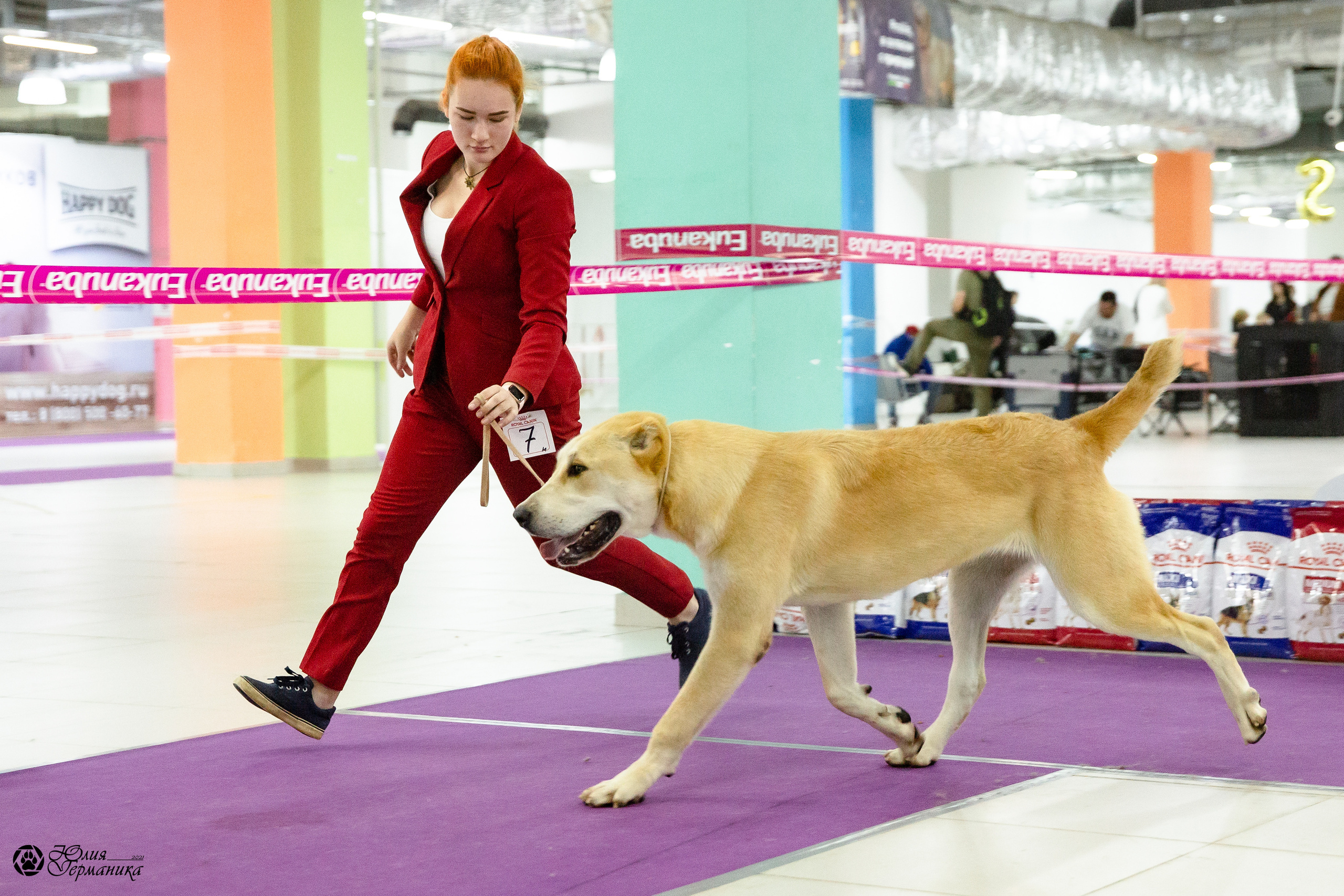 Чайна-Таун 2021. Фотограф-анималист Юлия Германика