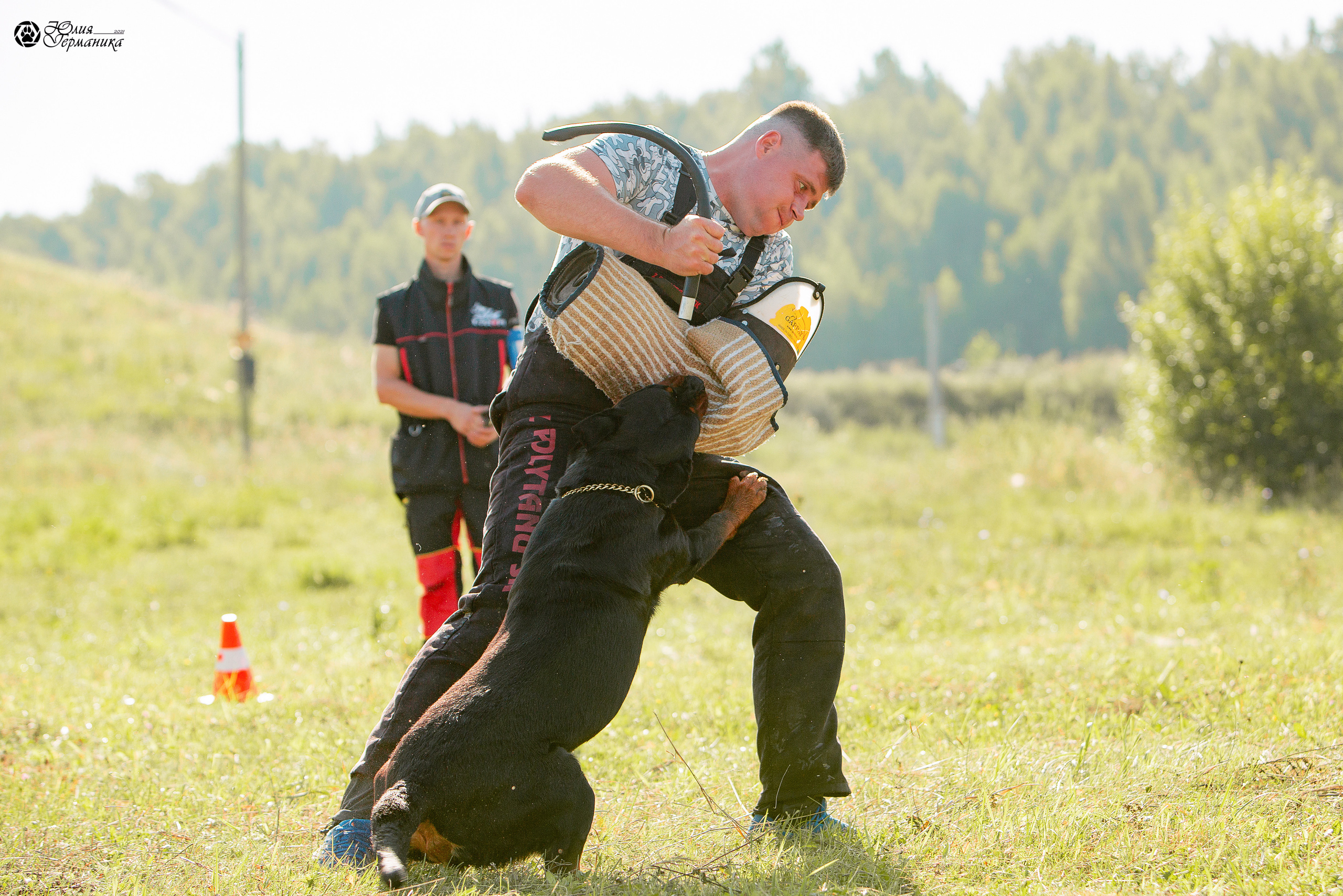 Рязань,Ховрино 14-15 августа 2021 моно ротвейлеров. Фотограф-анималист Юлия Германика