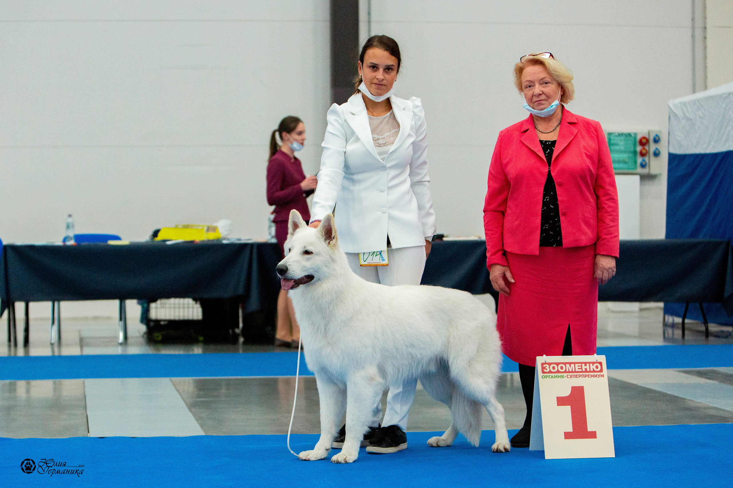 Питер 4 CACIB 22-25 октября 2021. Фотограф-анималист Юлия Германика