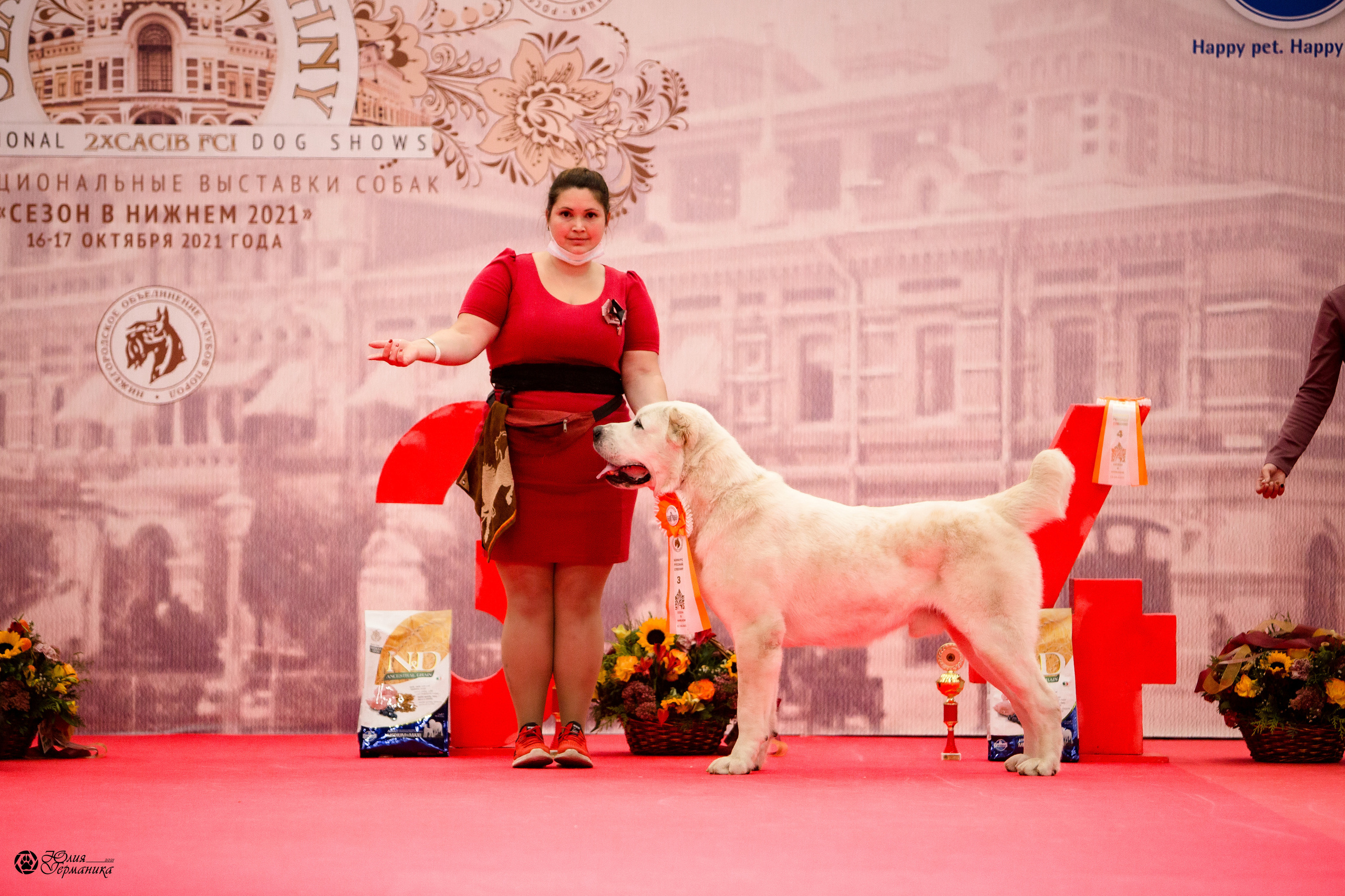 Нижний Новгород 3хCACIB 15-17 октября 2021. Фотограф-анималист Юлия Германика